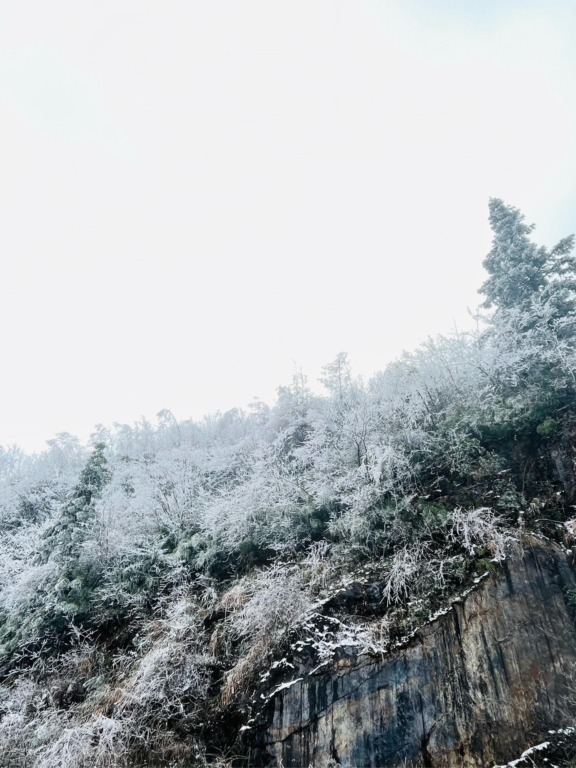 高山晶莹雪图片