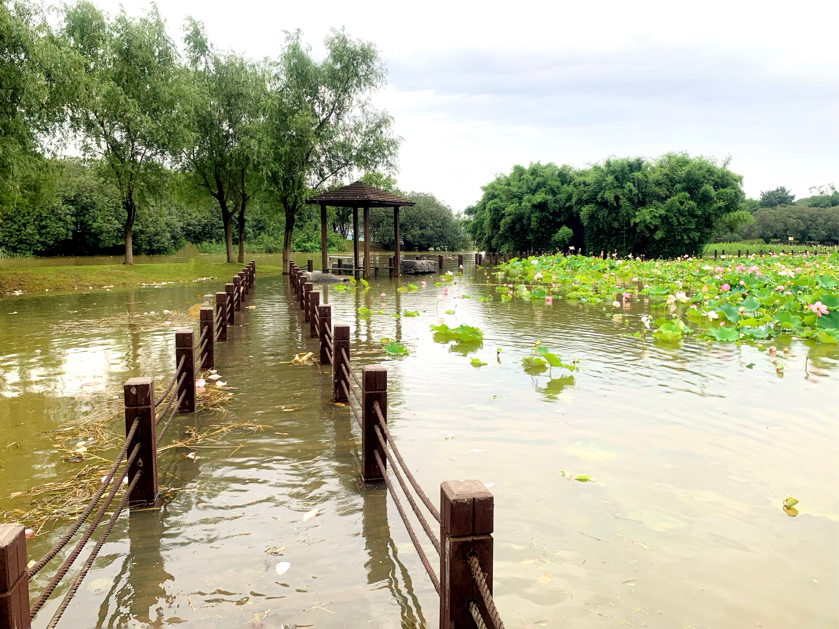 渔舟湾湿地公园图片