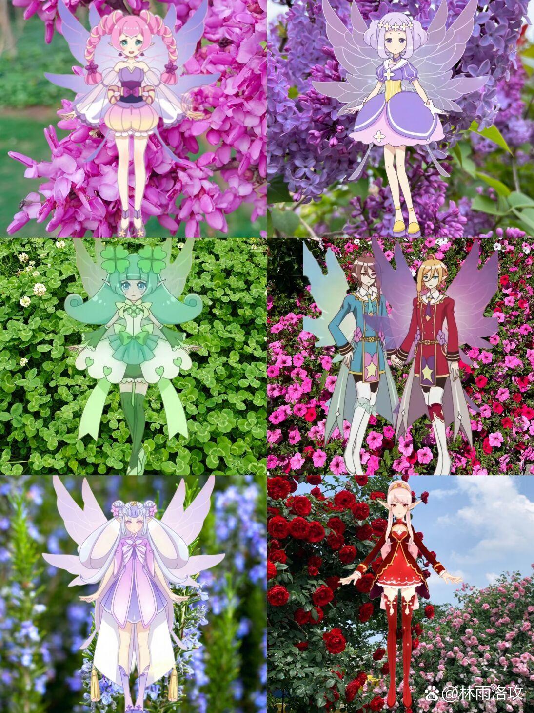 小花仙50位精灵王集齐了