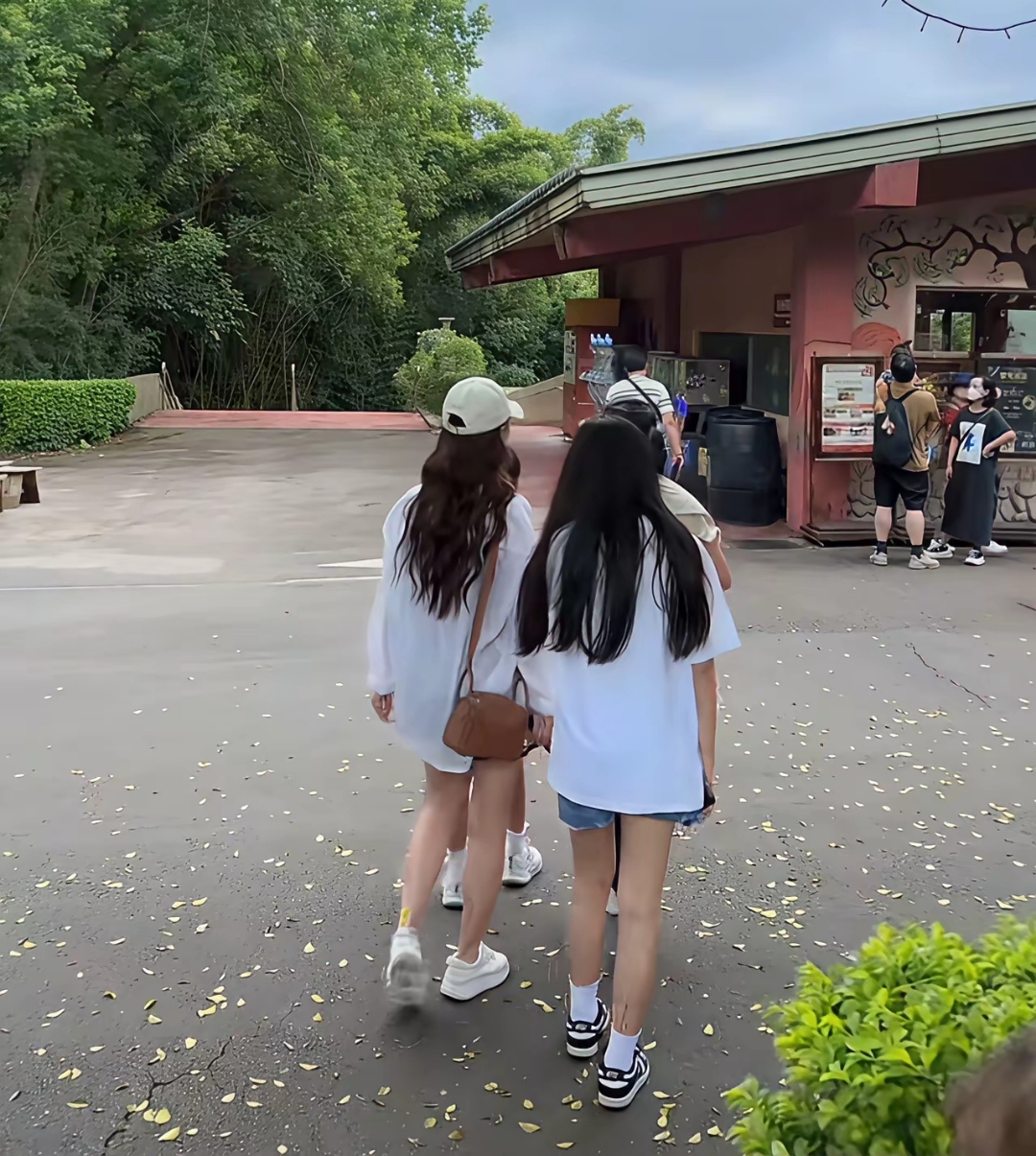 所以就编造了一个这样的新闻