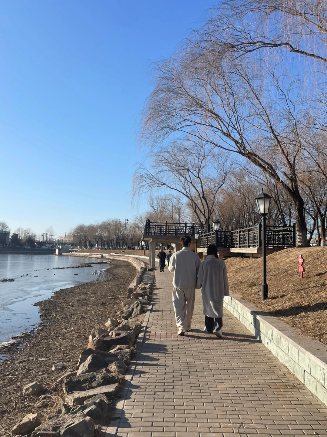 两口子一起在公园里散步.享受最后难得的二人世界