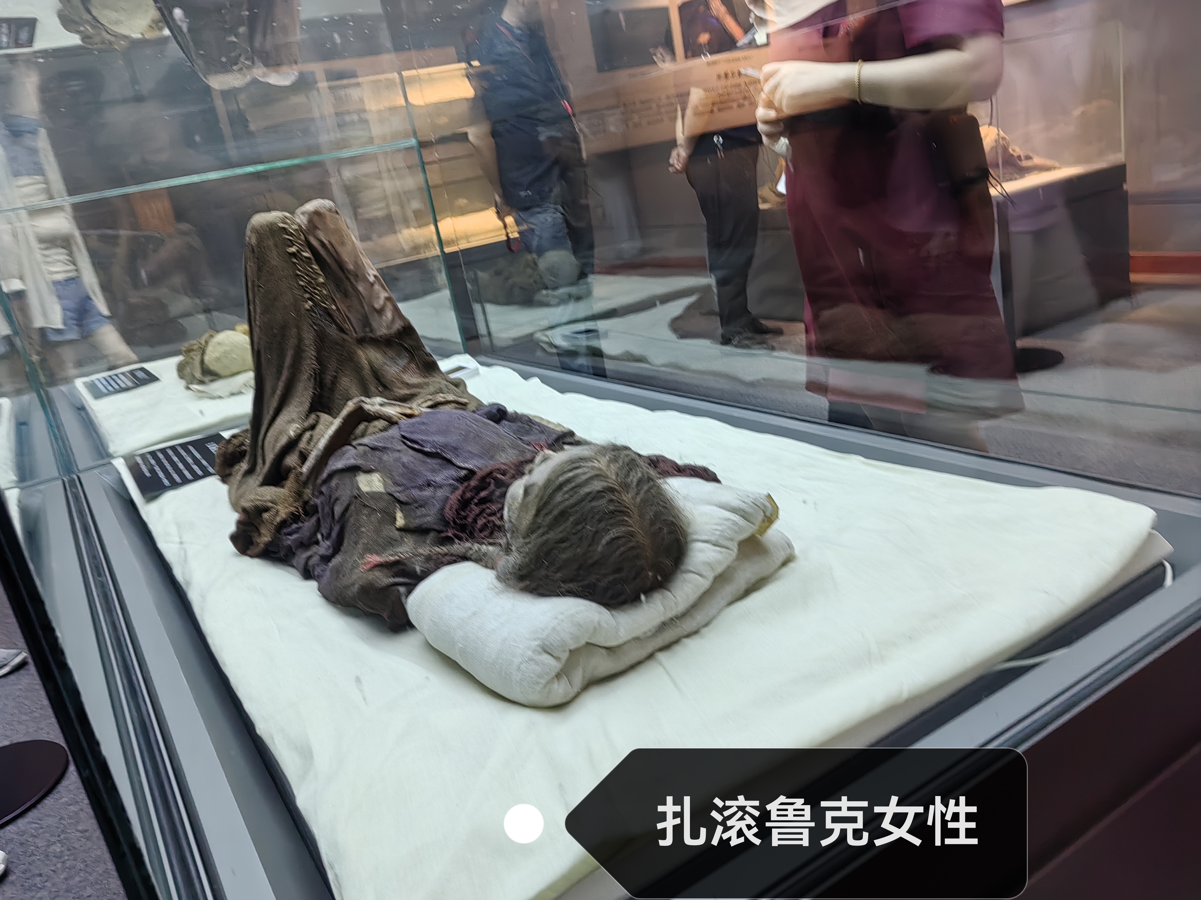 库尔勒博物馆展品介绍图片