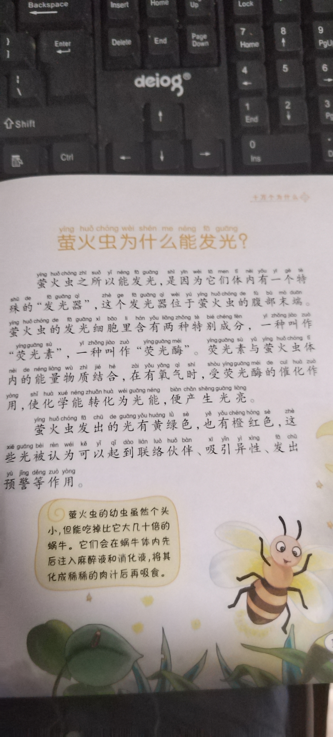 萤火虫的发光细胞里含有两种特别成分,一种叫做"荧光素",一种叫作"