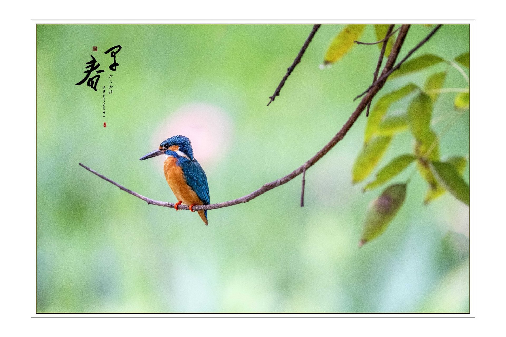 我在这儿等着你回来 看那春江水暖鱼肥