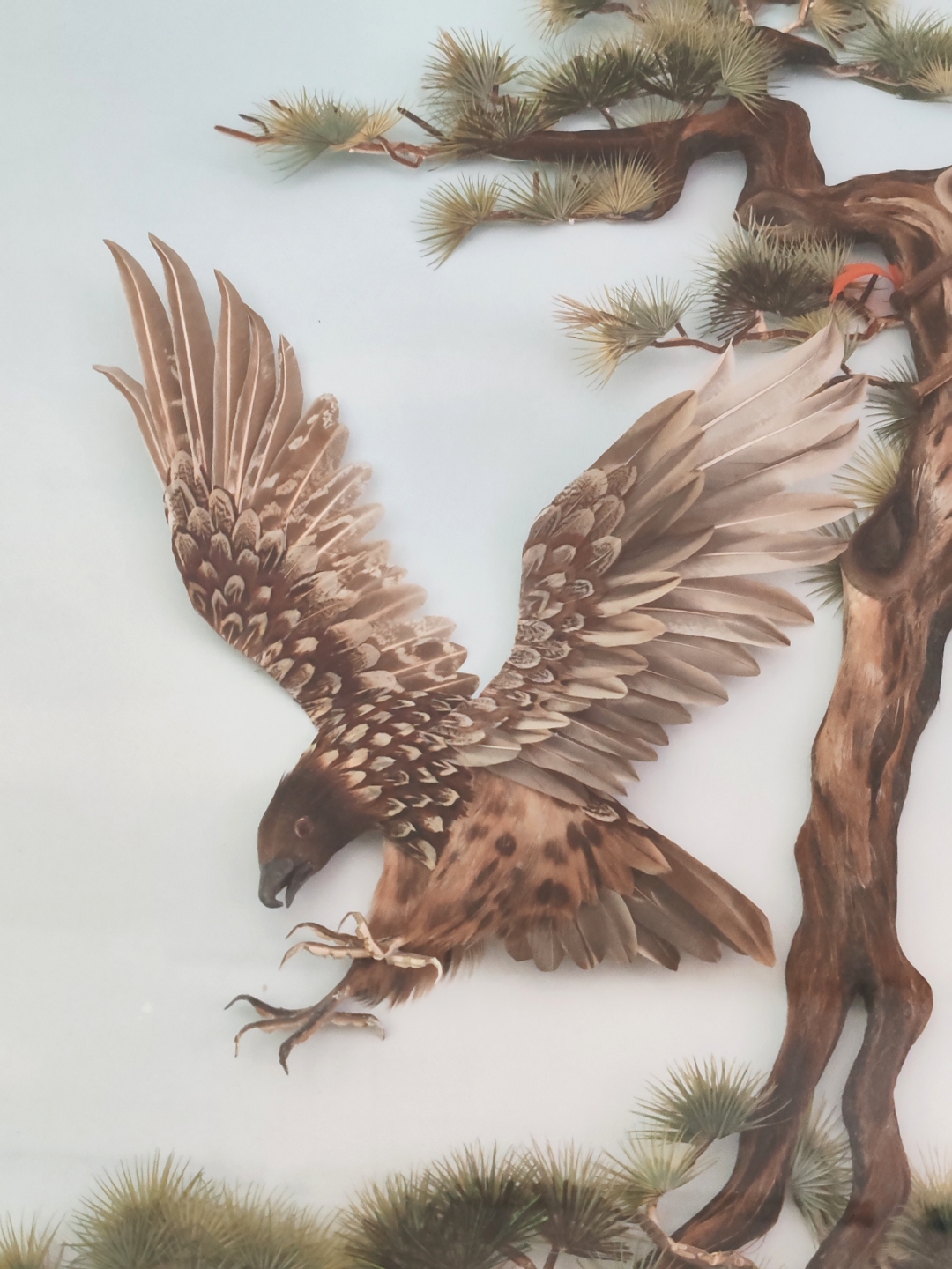 手工羽毛画#半立体,雄鹰展翅!