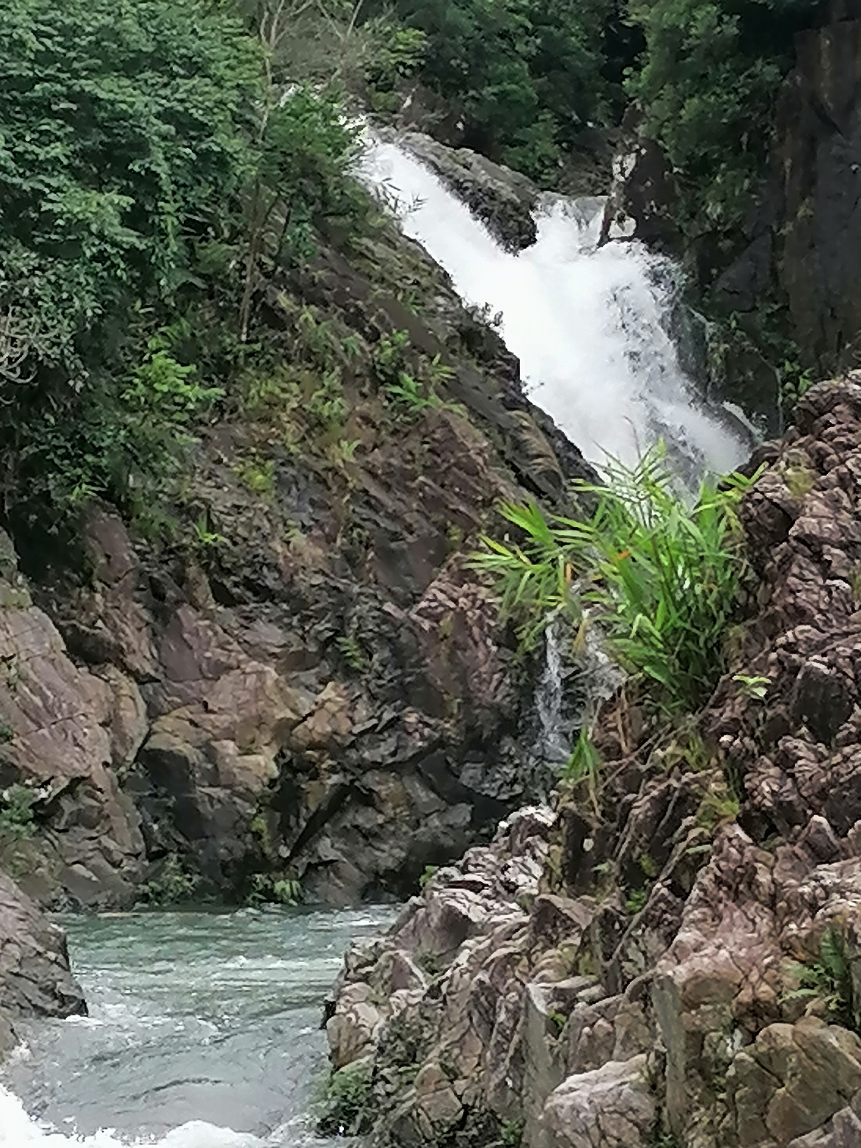位于海南省万宁市南林农场新三队. 原始热带雨林,无底深潭,游玩探 ..