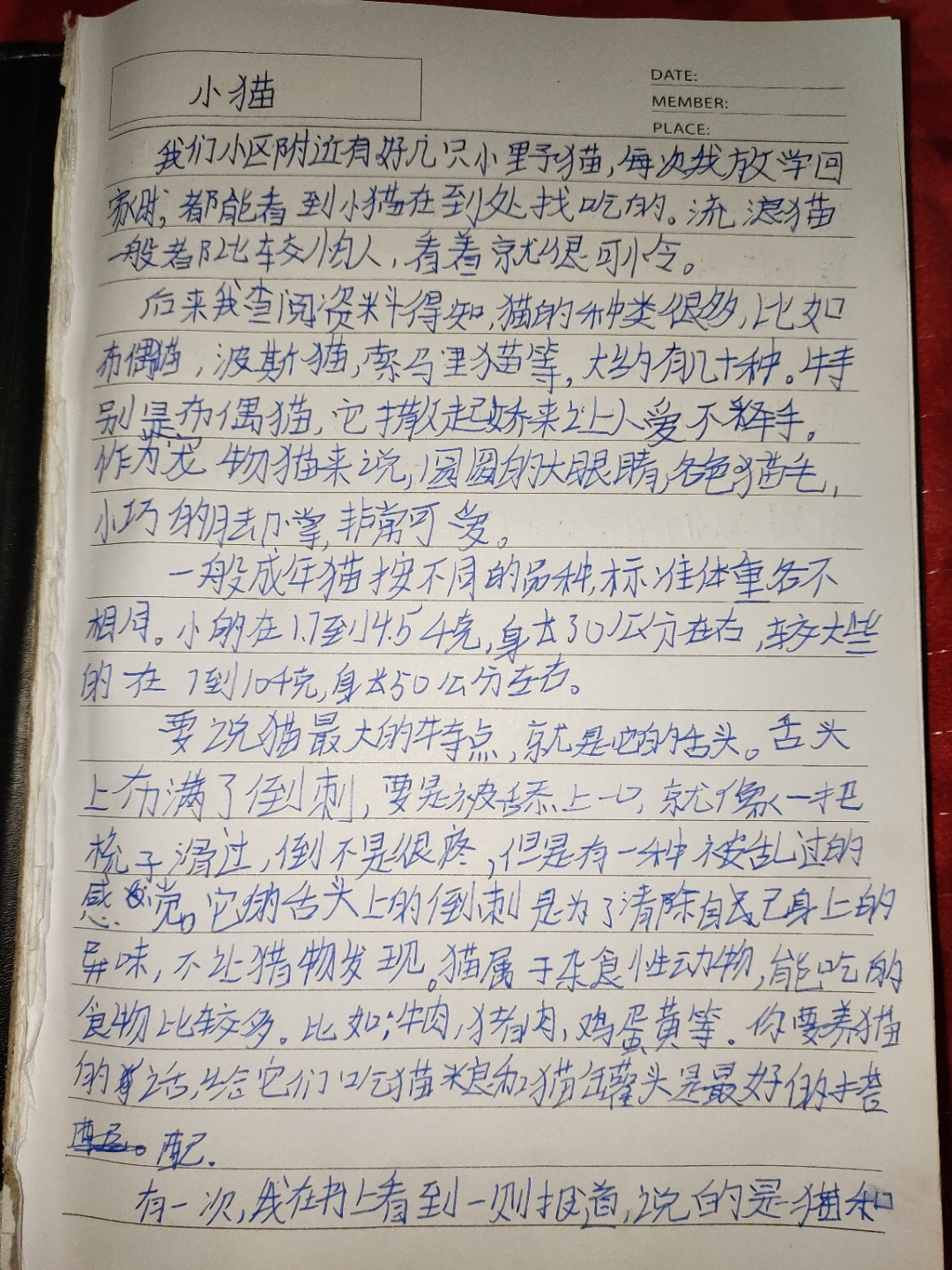 说明文450字图片