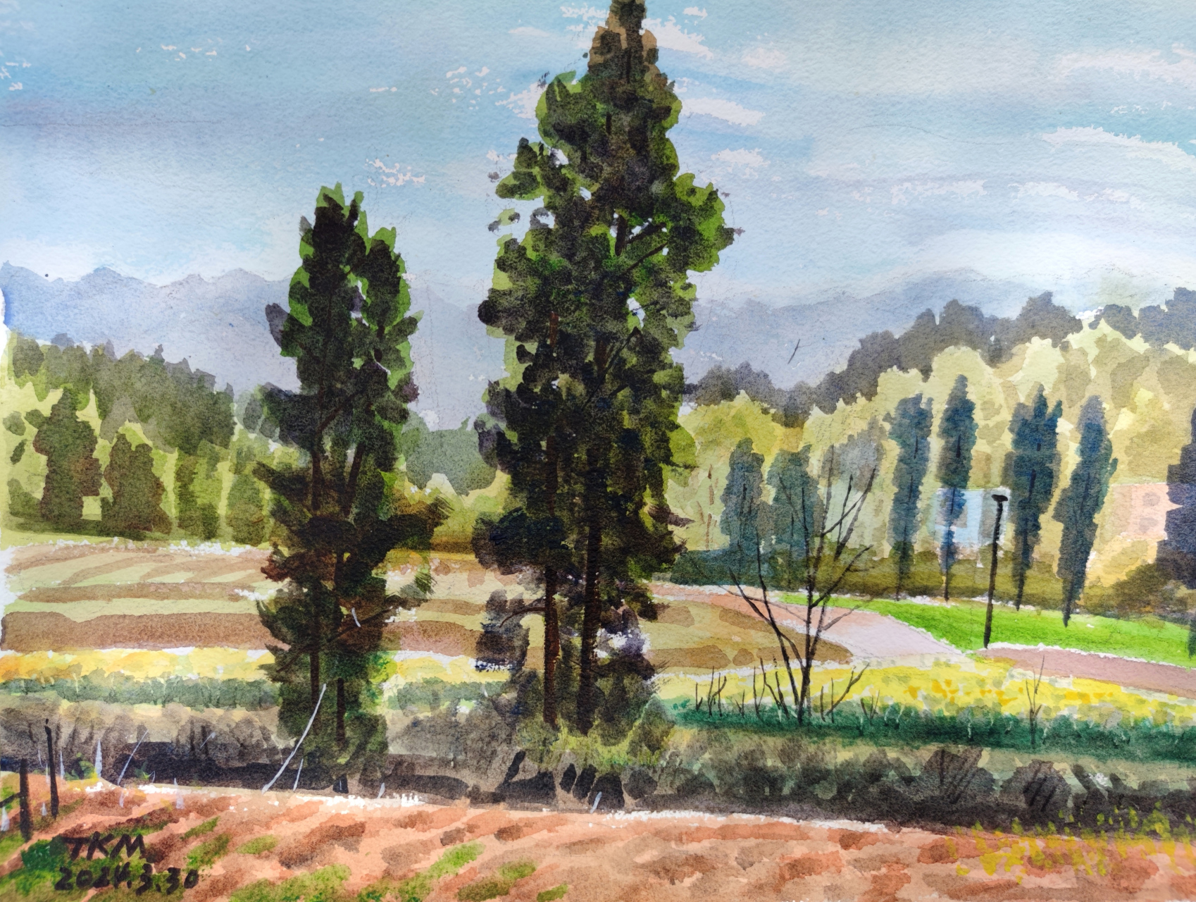 《春日田野风光》,水彩写生.纸:宝虹粗纹,颜料:温莎牛顿.