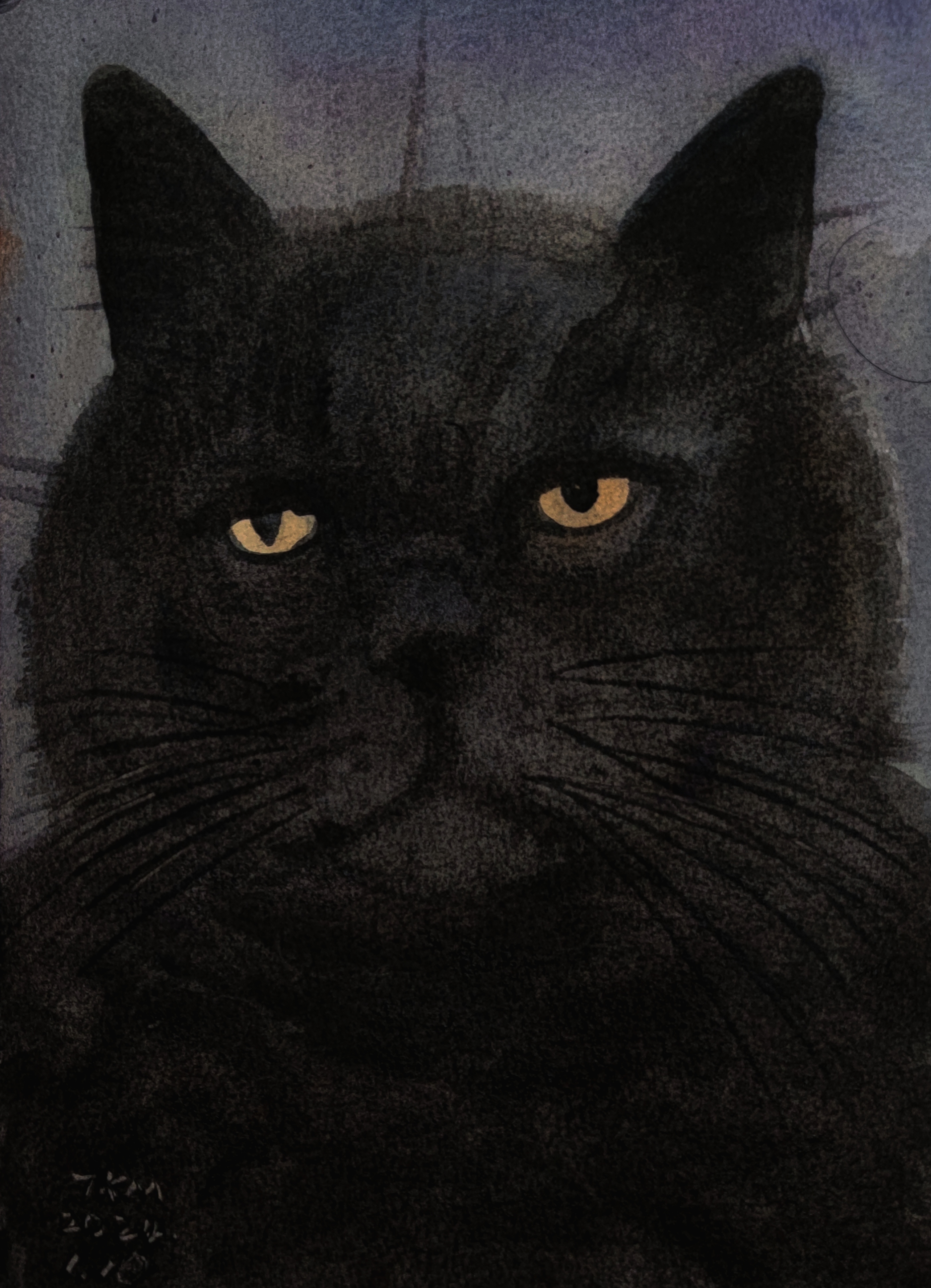 《猫的凝视》,水彩