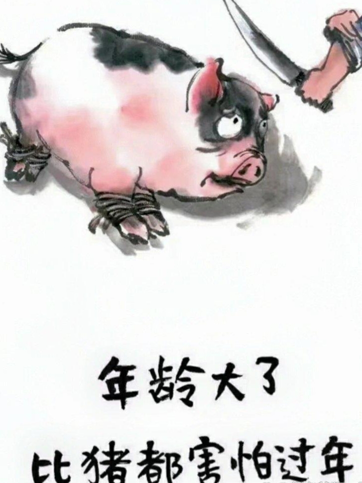 小时侯,最希望的就是过年.