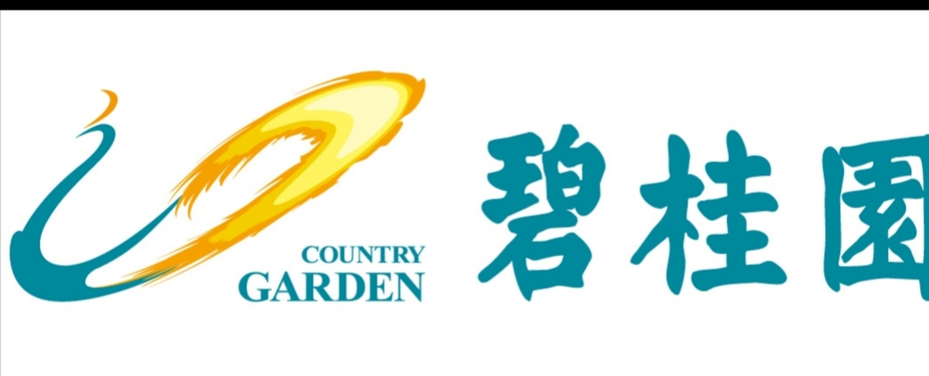 看看碧桂园,恒大,干了些什么.资不抵债.