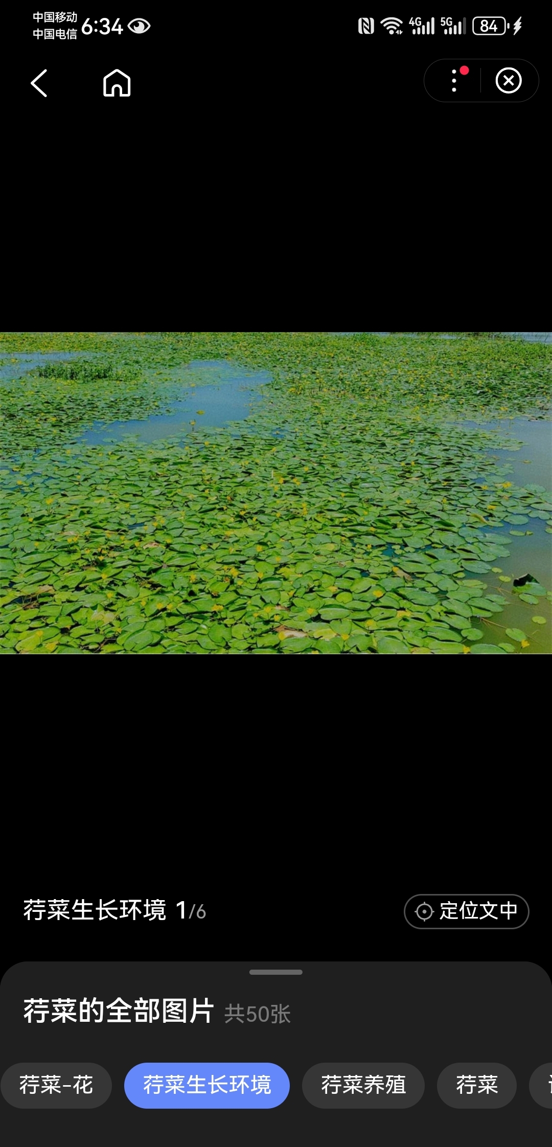 水生植物,曾记何时,从人们的餐桌上走下来了