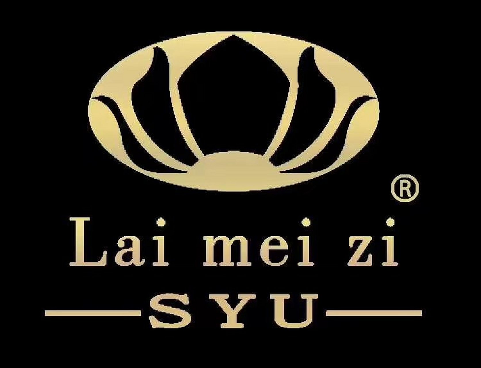 圣诞节心愿# 希望2021年我的莱美姿事业风生水起,团队开在祖国的每个