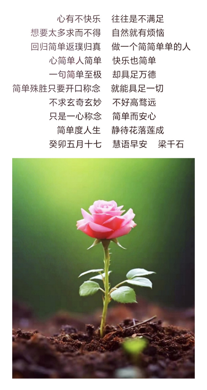 心简单人简单    快乐也简单