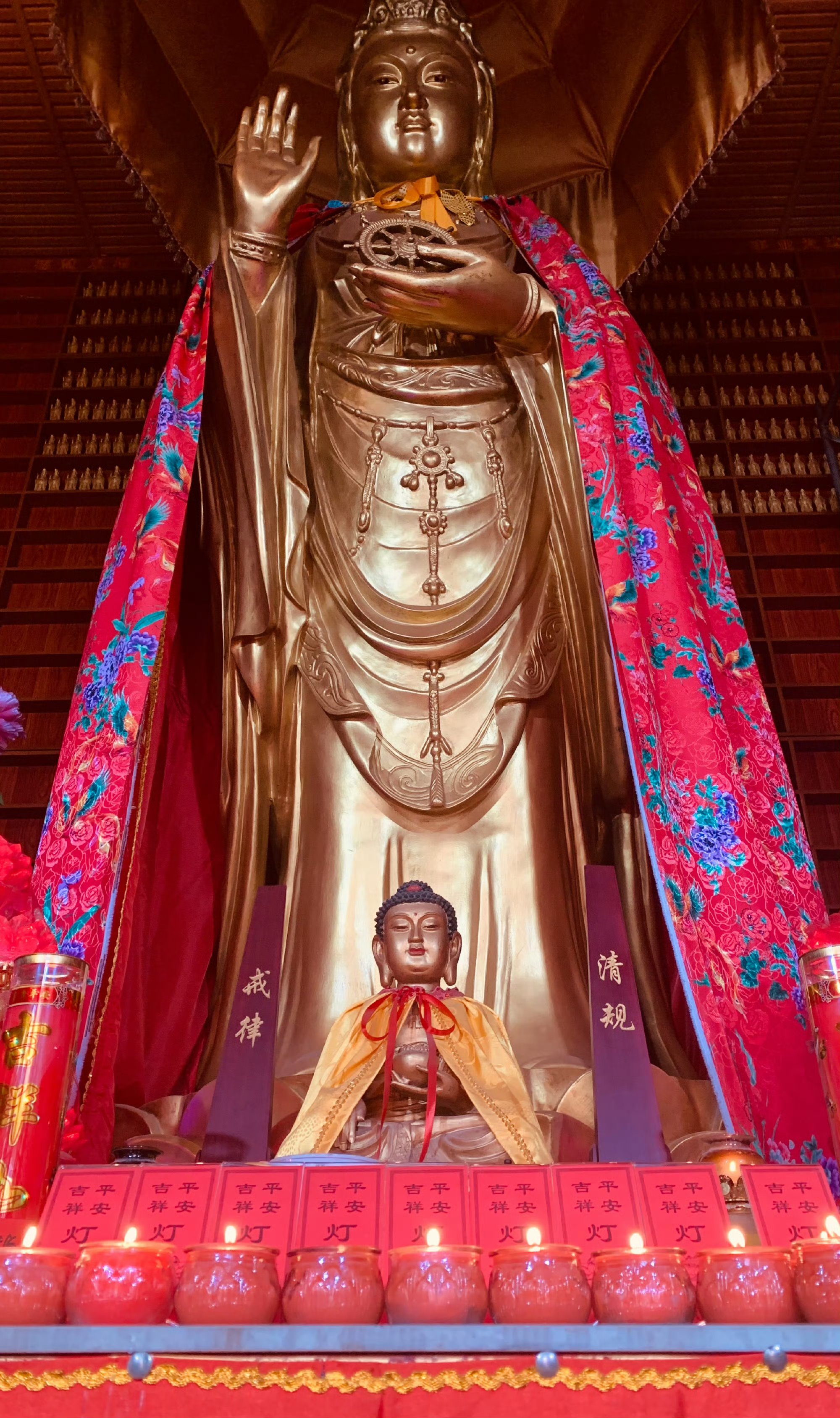 谁言寸草心,报得三春晖