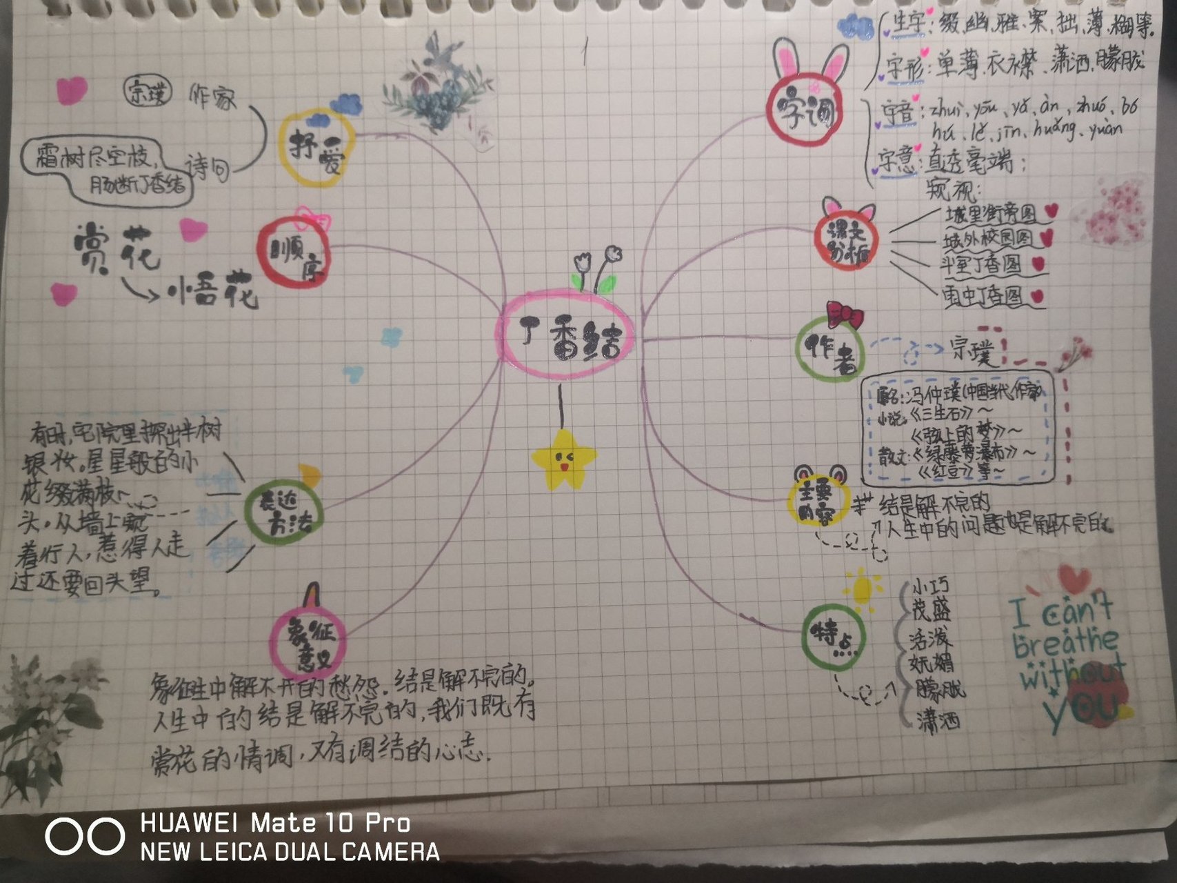 《丁香结》思维导图
