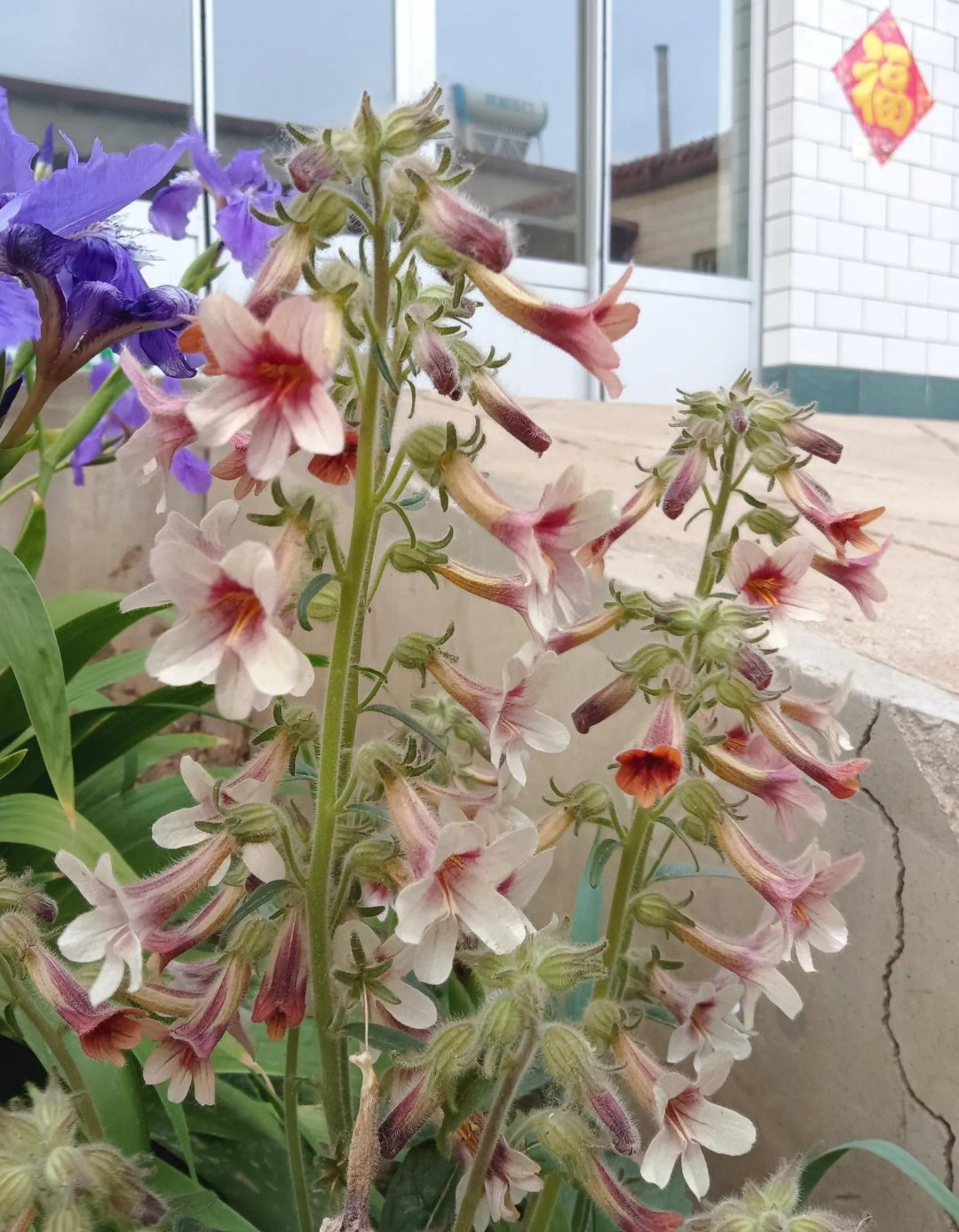 有没有这种人,别人送东西或者食物给你时,明明你不