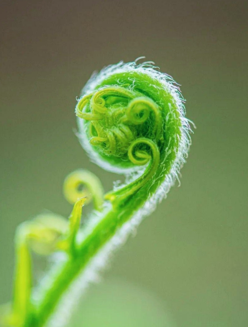 择其善者而从之, 其不善者而改之. 以责人之心责己, 以恕己之心恕人