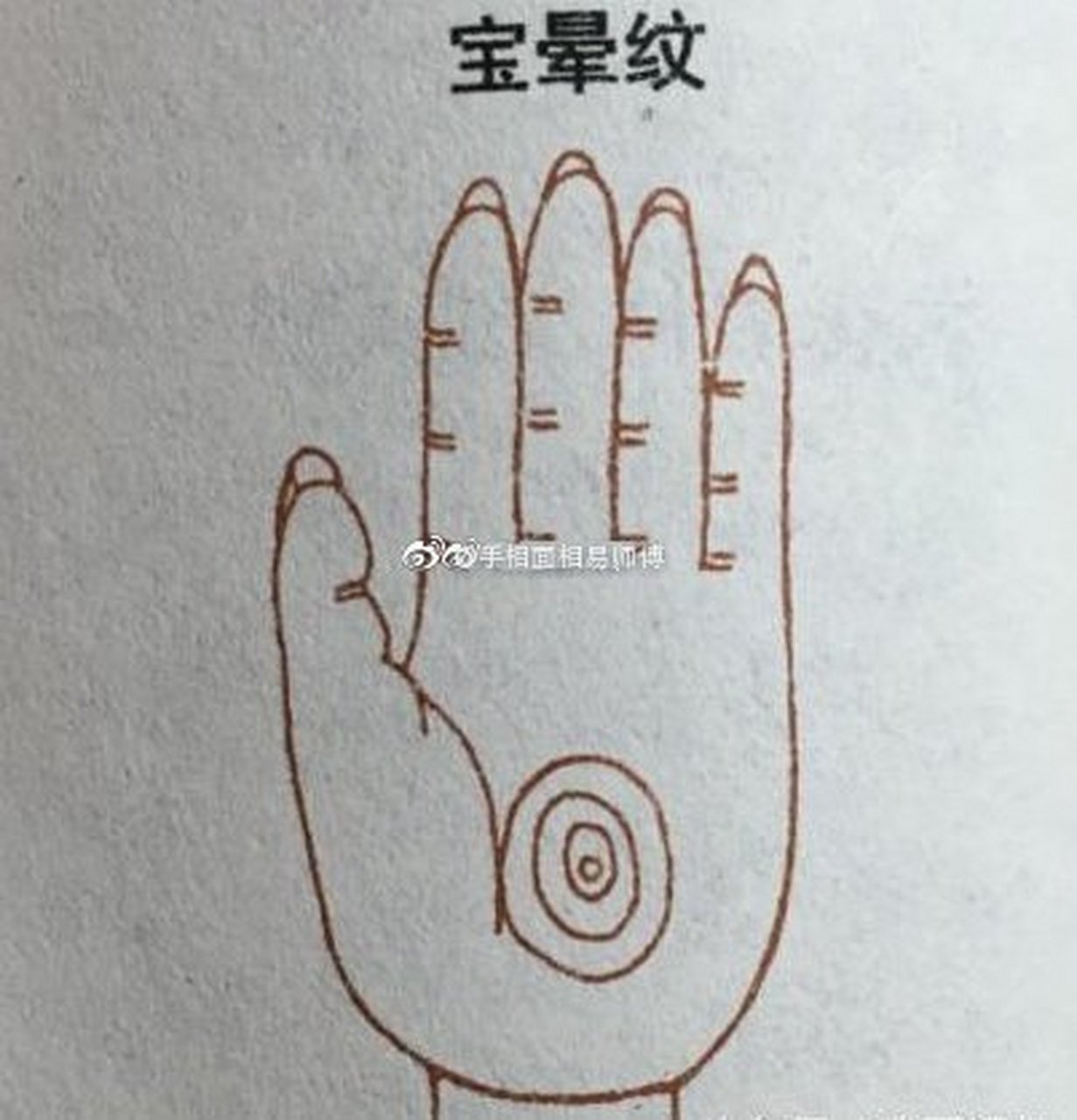 男人手掌有宝晕纹的人一生非富即贵  宝晕纹特征,如同螺旋状,一圈一圈