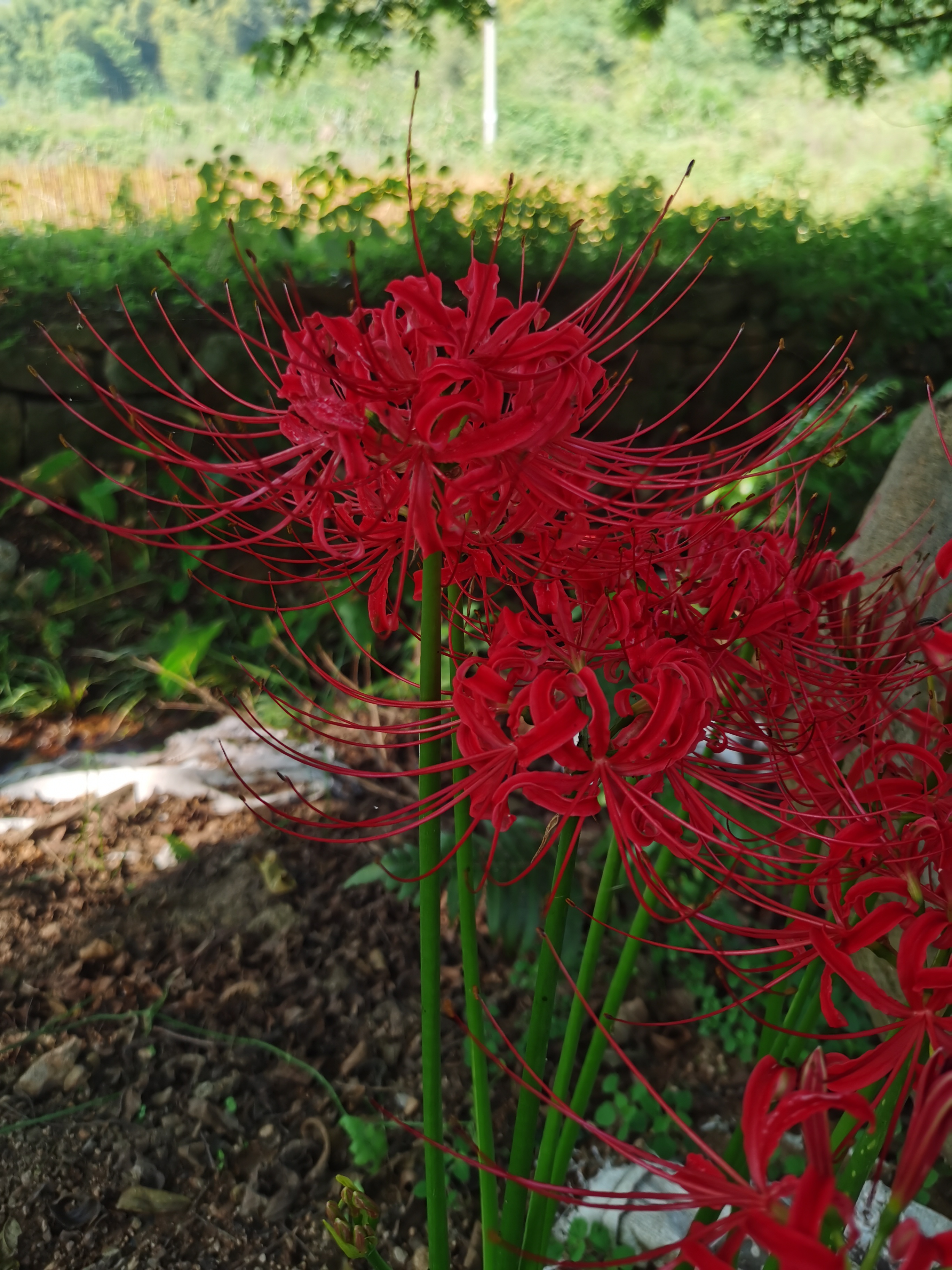 男人啊,一个月给4000块钱就觉得自己是家里的大王