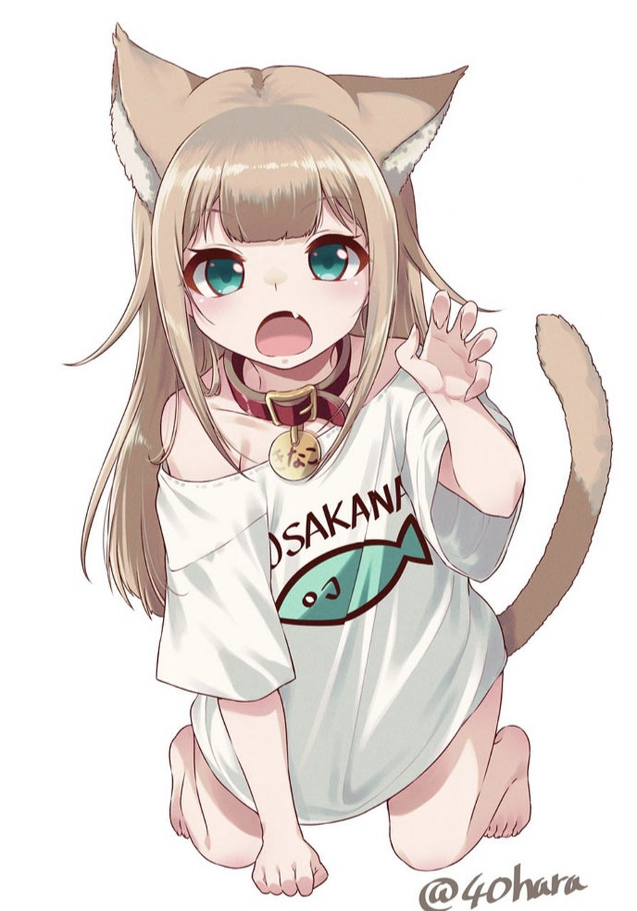 40原老师家的猫猫! 超可爱的