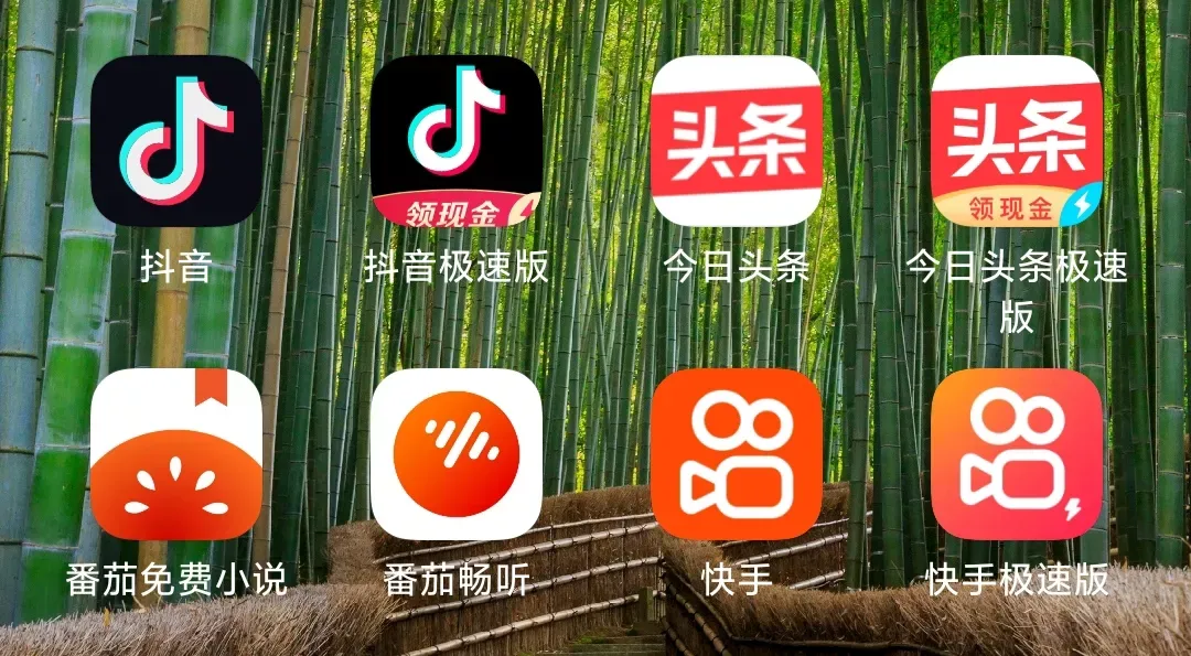 今日头条搜索版和极速版哪个好(今日头条极速版跟今日头条的区别)