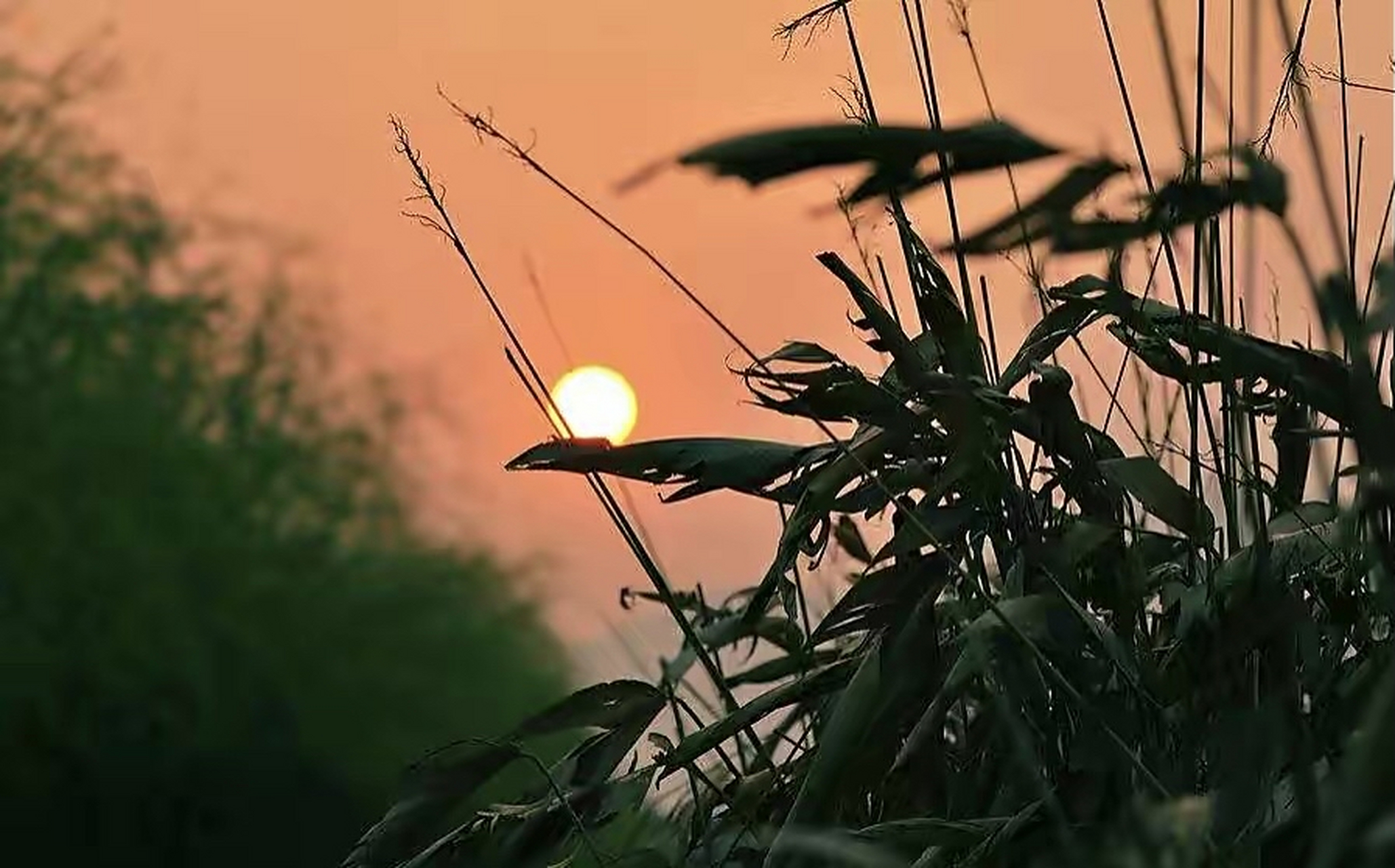 世事常难料, 岁月露峥嵘, 人海浮沉最无常, 淡写人间相逢.