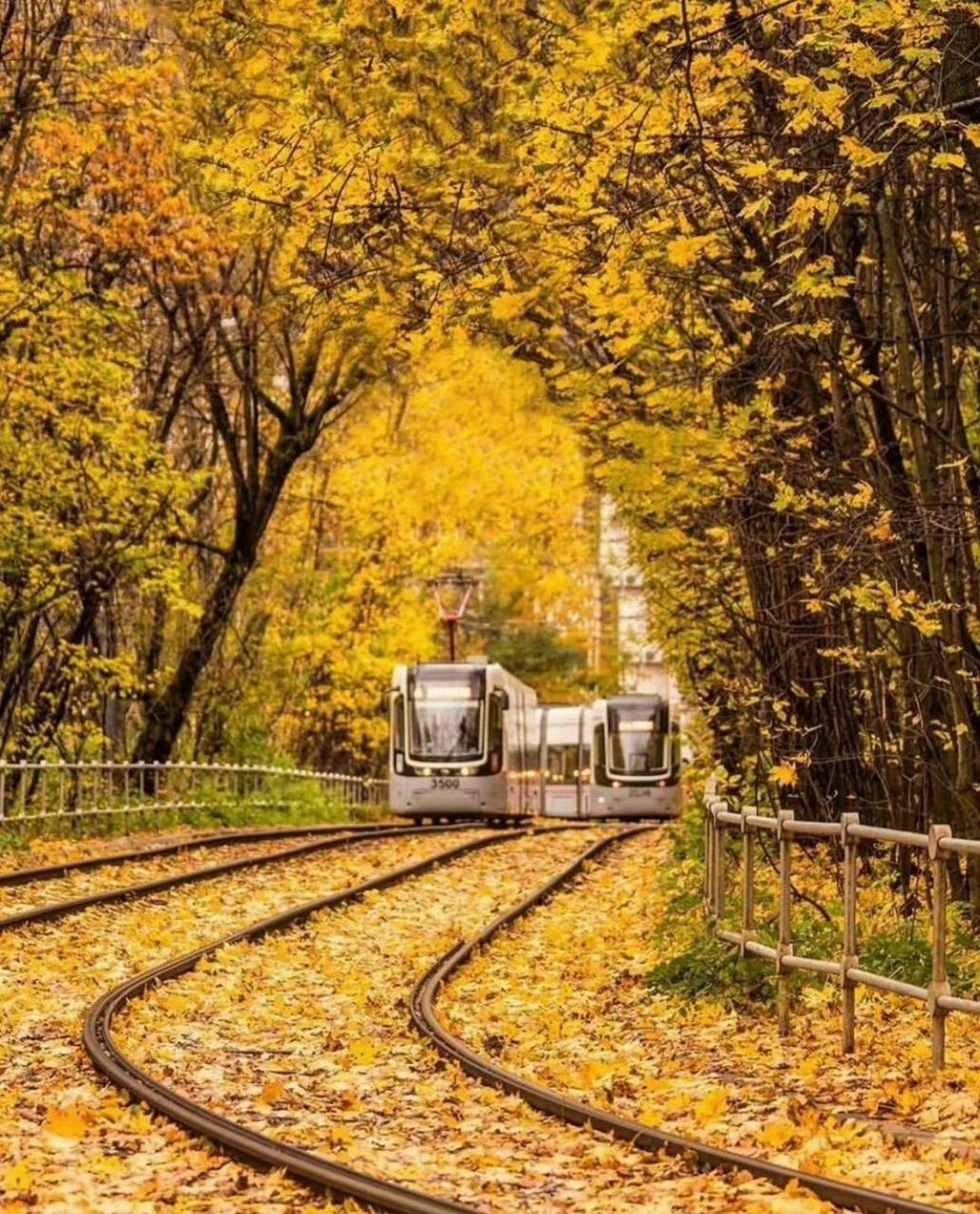 美景之屋:开往秋天的火车00!