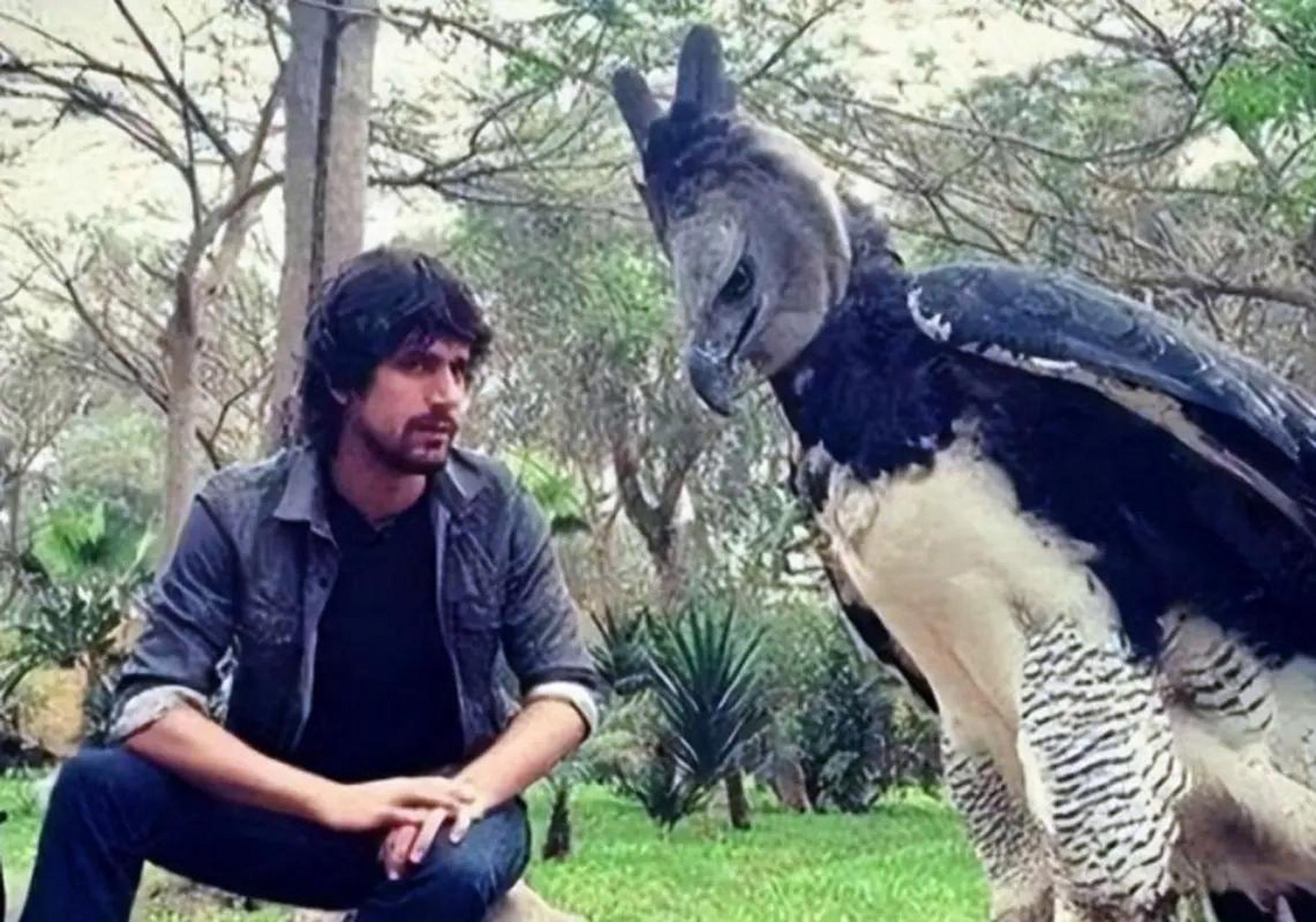 人类与自然:这是传说中的杨过与雕兄?