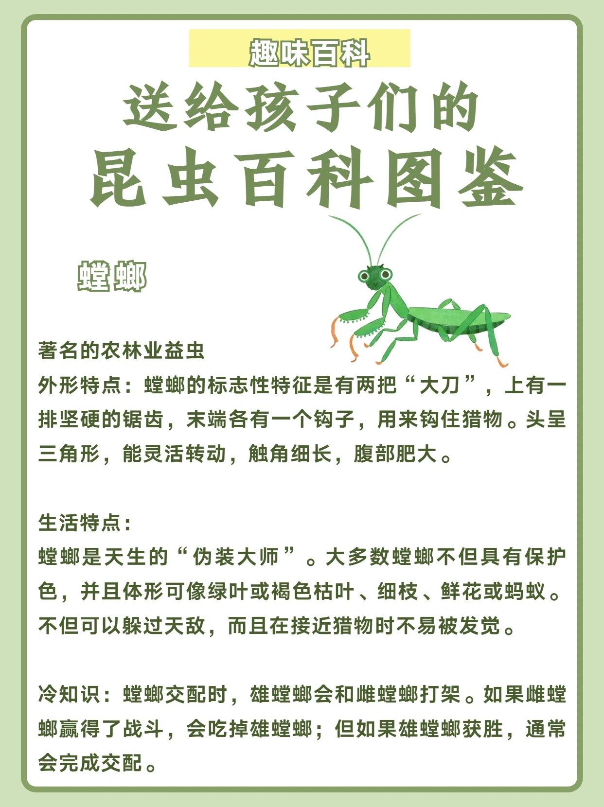 送给孩子们的 昆虫百科图鉴