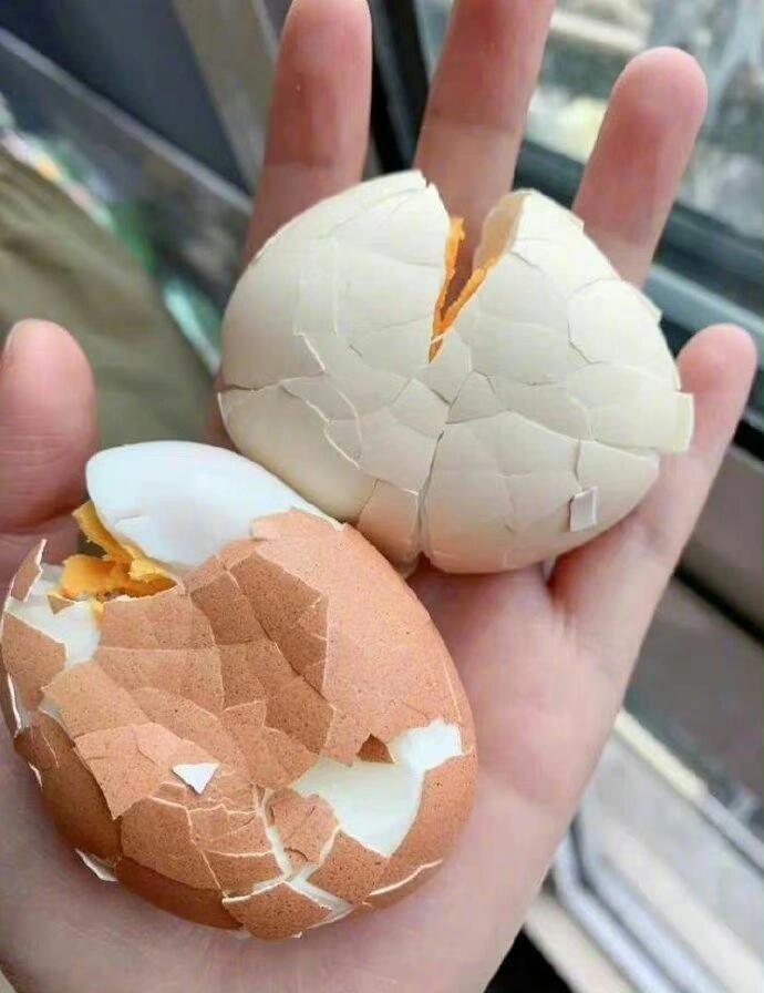 永远也不知道,打工人早晨上班时经历了什么,早上出门时带了两个鸡蛋