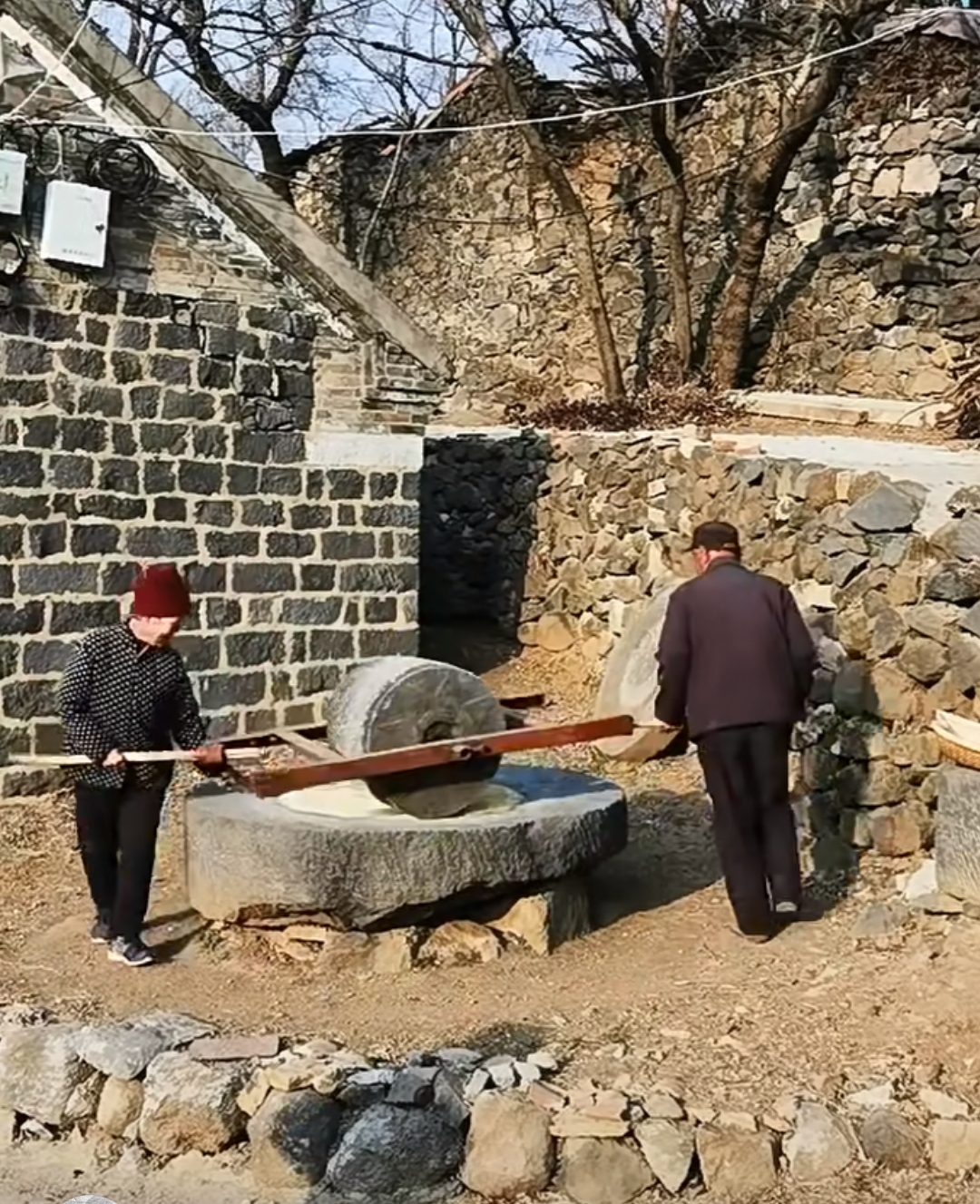 两位老人合力推着碾子磨面,脸上洋溢着笑容,那神情仿佛回到了旧时光