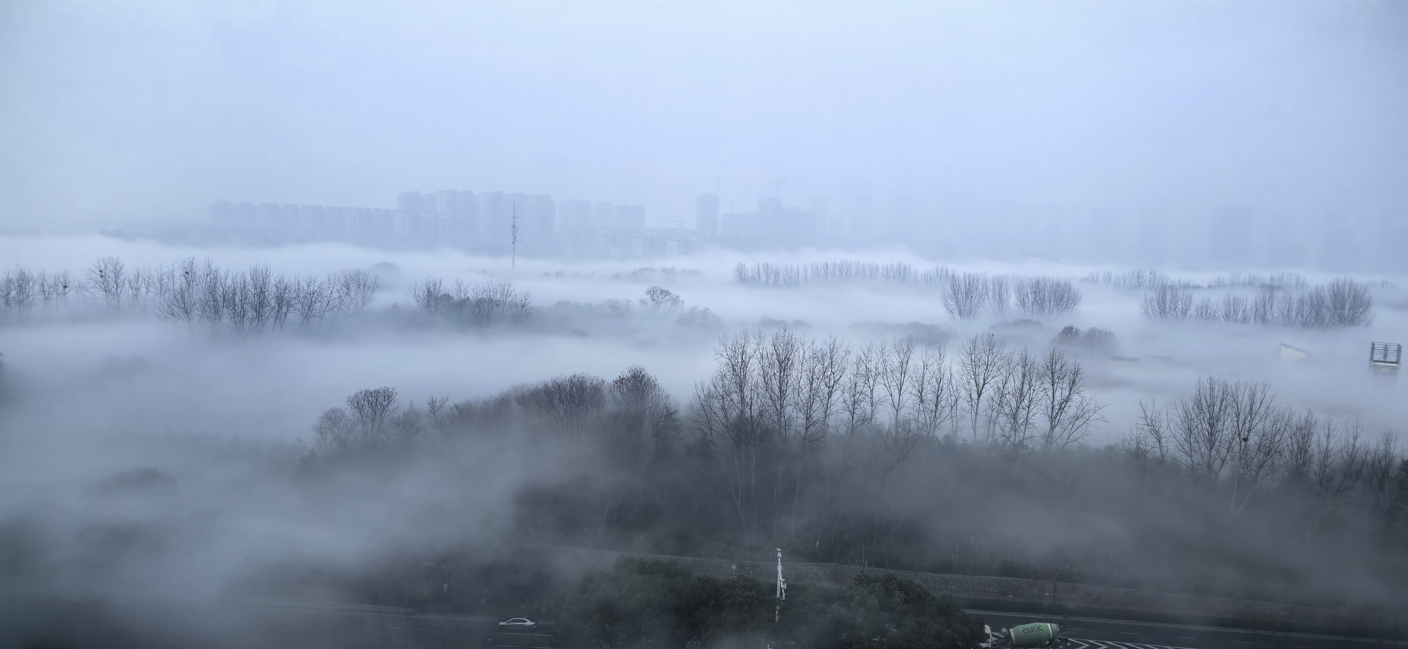 林中晨雾图片