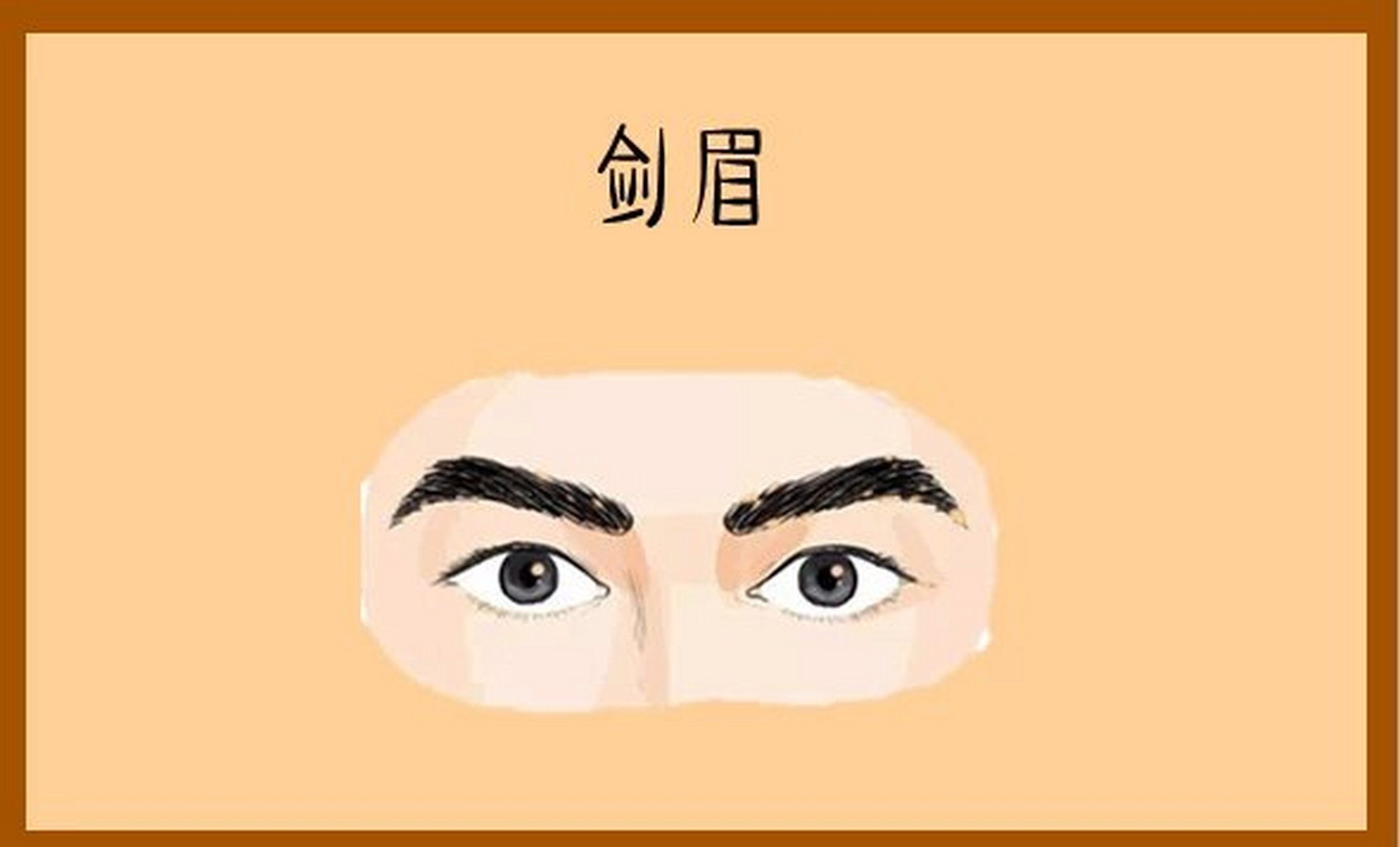剑眉  眉毛在面相中是"保寿官",亦为礼仪之官,从眉毛的形状粗细浓淡