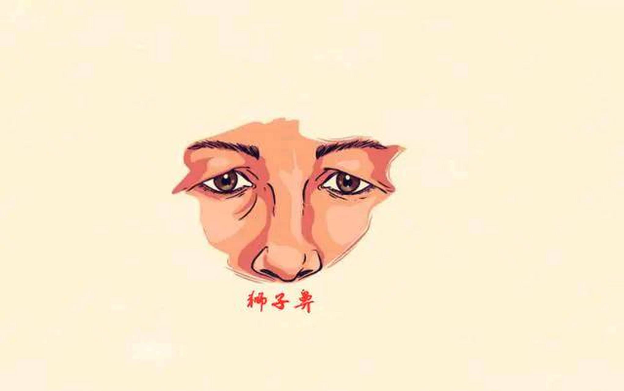 6,狮子鼻  狮子鼻的重要特征鼻子长得短而扁,鼻翼开阔有力,鼻头部位长