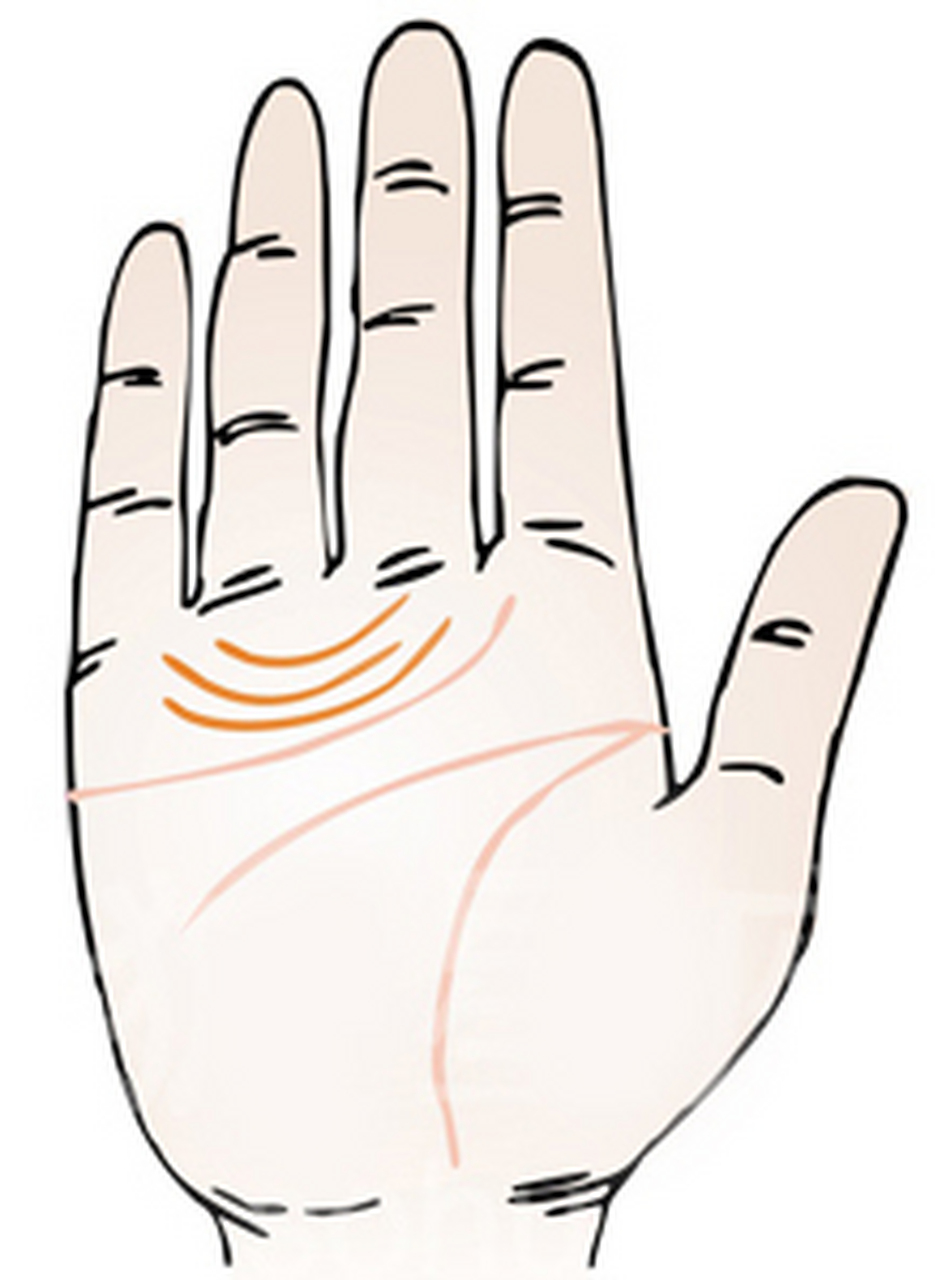 金星带有二,三条 金星带有二,三条,此手相者,极富好奇心,做事喜欢故弄