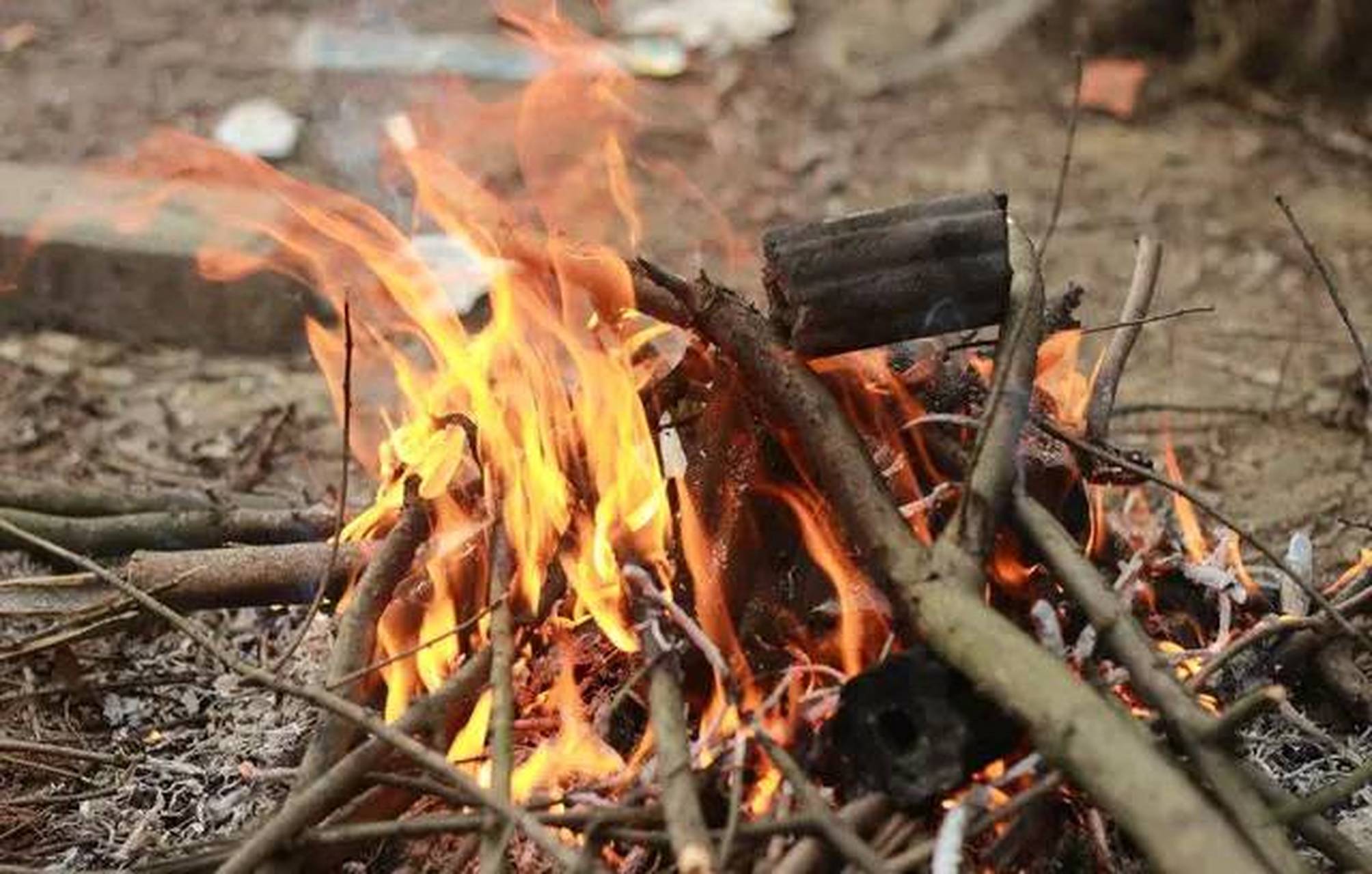 树木被火焚烧后变成灰烬,而灰烬的积累就成了土.