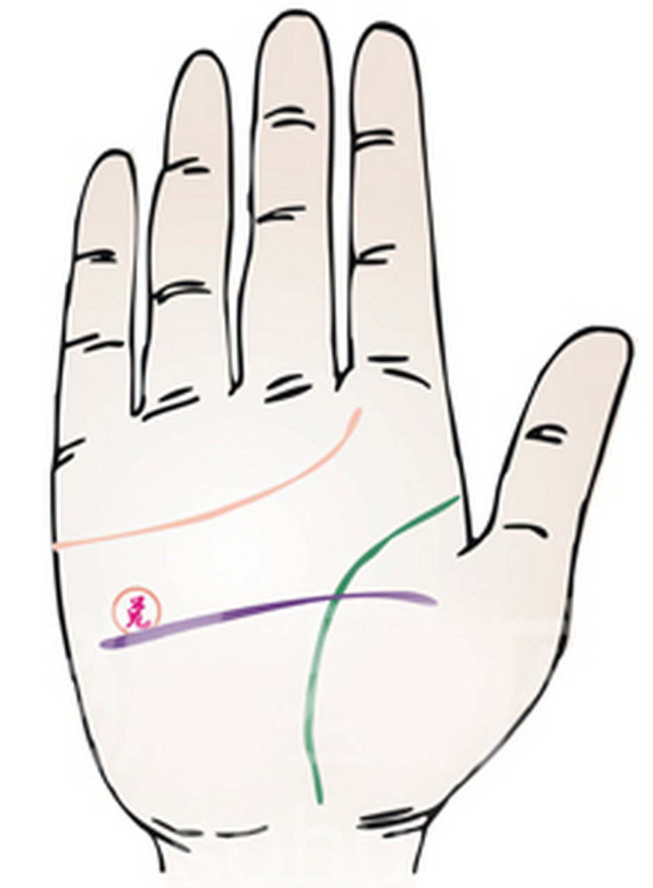 智慧线同时穿过生命线及兑宫 智慧线同时穿过生命线及兑宫:此为浪子