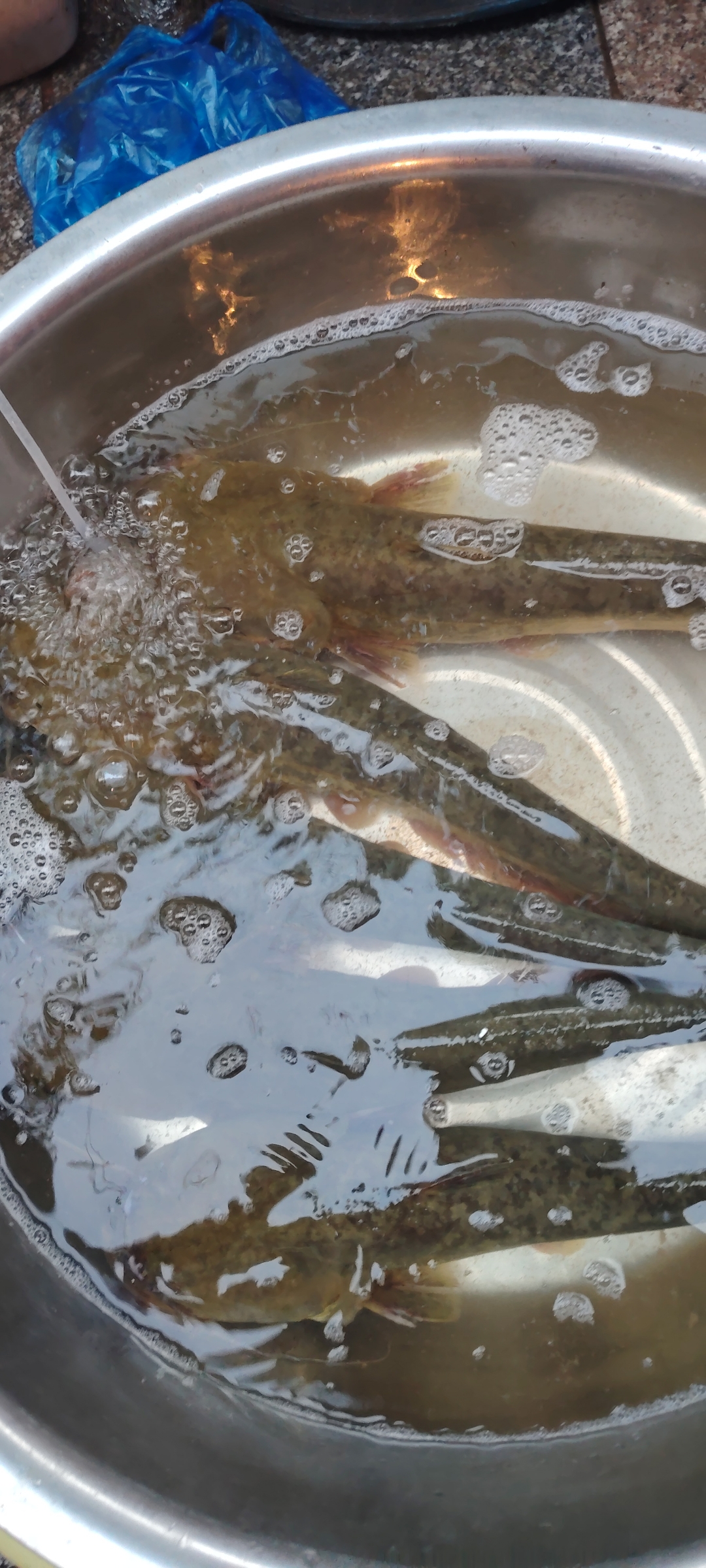 你们知道这种鱼是什么鱼吗?在湖南永州又卖多少钱一斤呢?