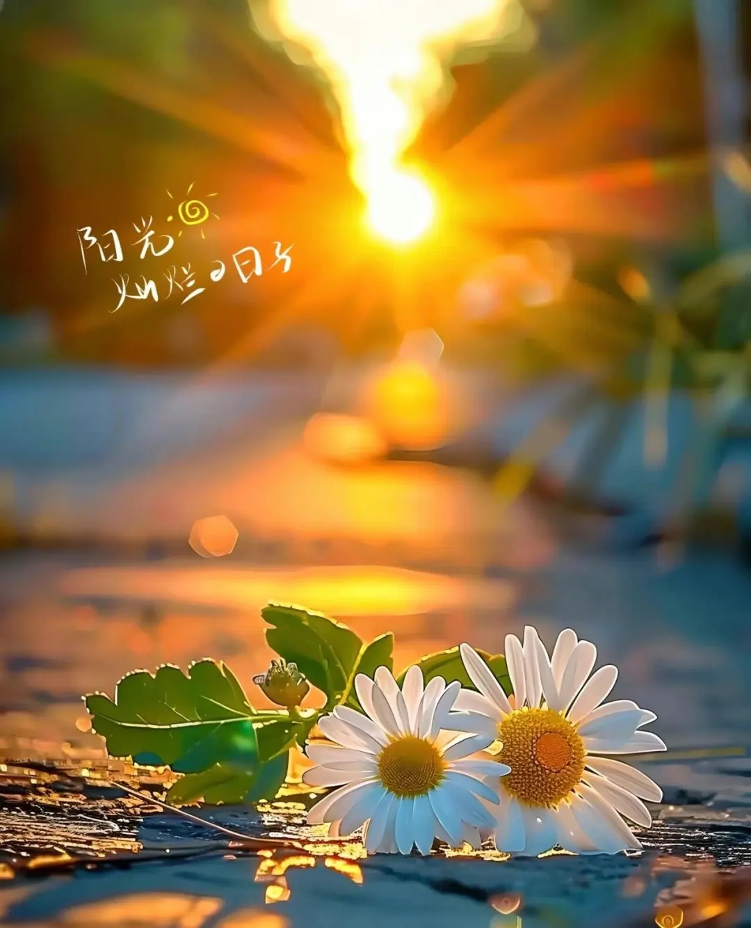 清晨,一缕阳光透过窗帘,温暖地照在手心里的羽毛上,仿佛在提醒我们