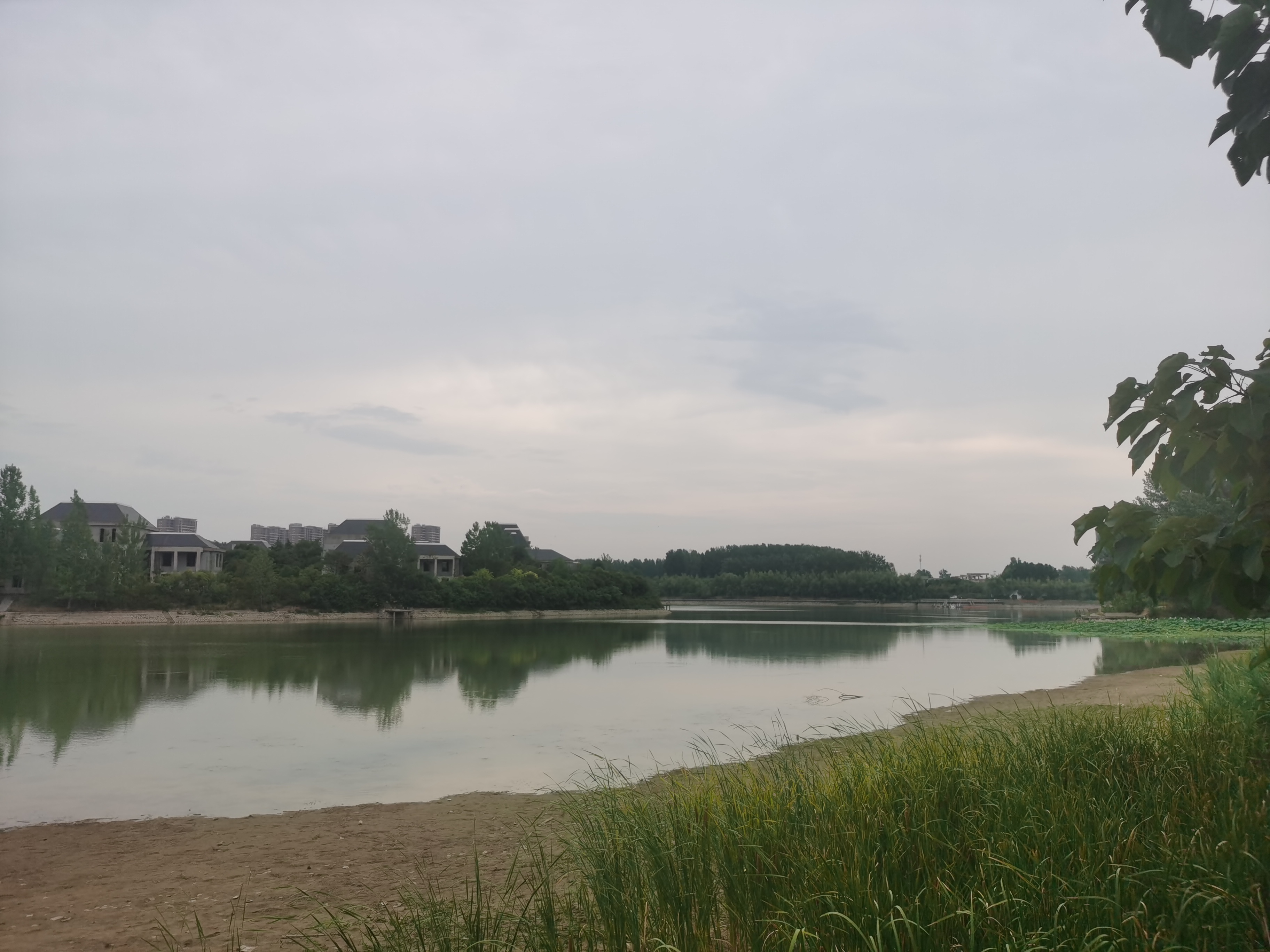 连日高温天气下,葛天源公园的树木和小湖