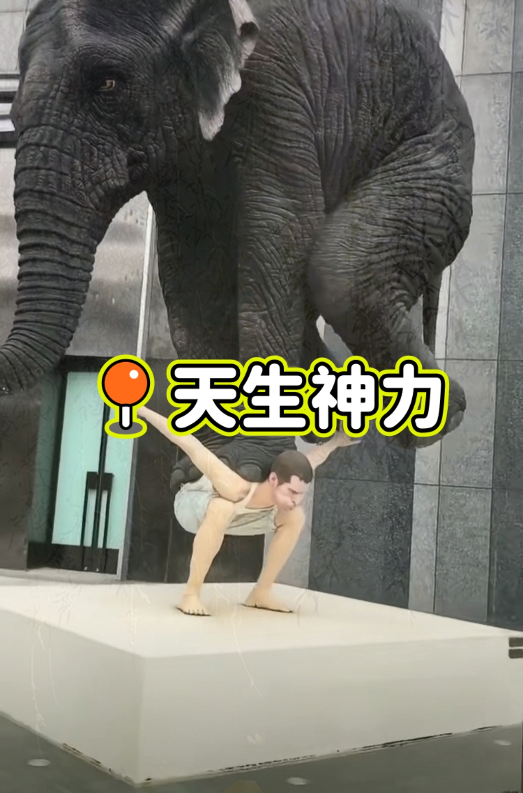 一力降十会,如果人类有这种天生神力量大象面前根本