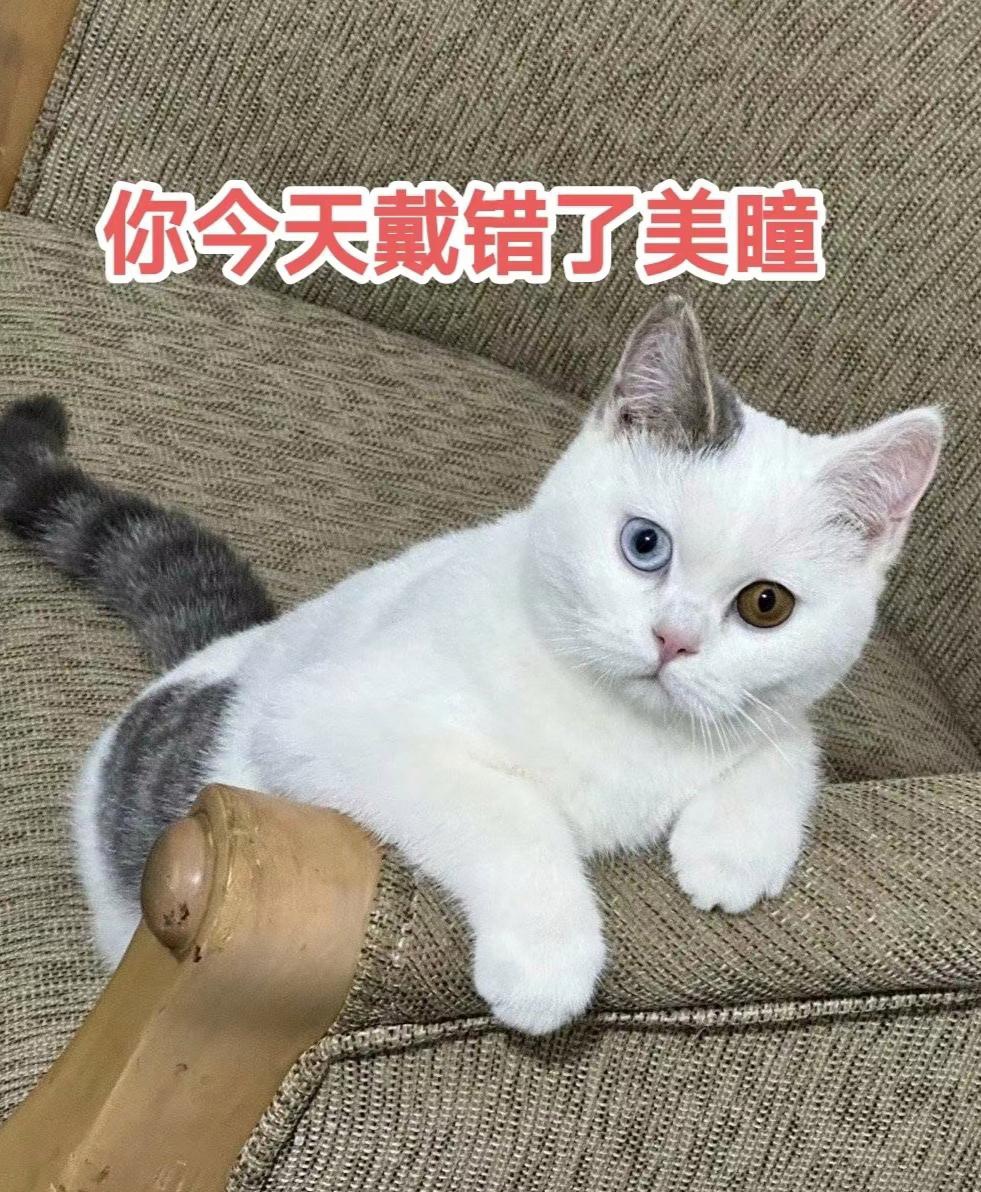 另外请教一下大家,最后一张照片的文案写什么好呢?