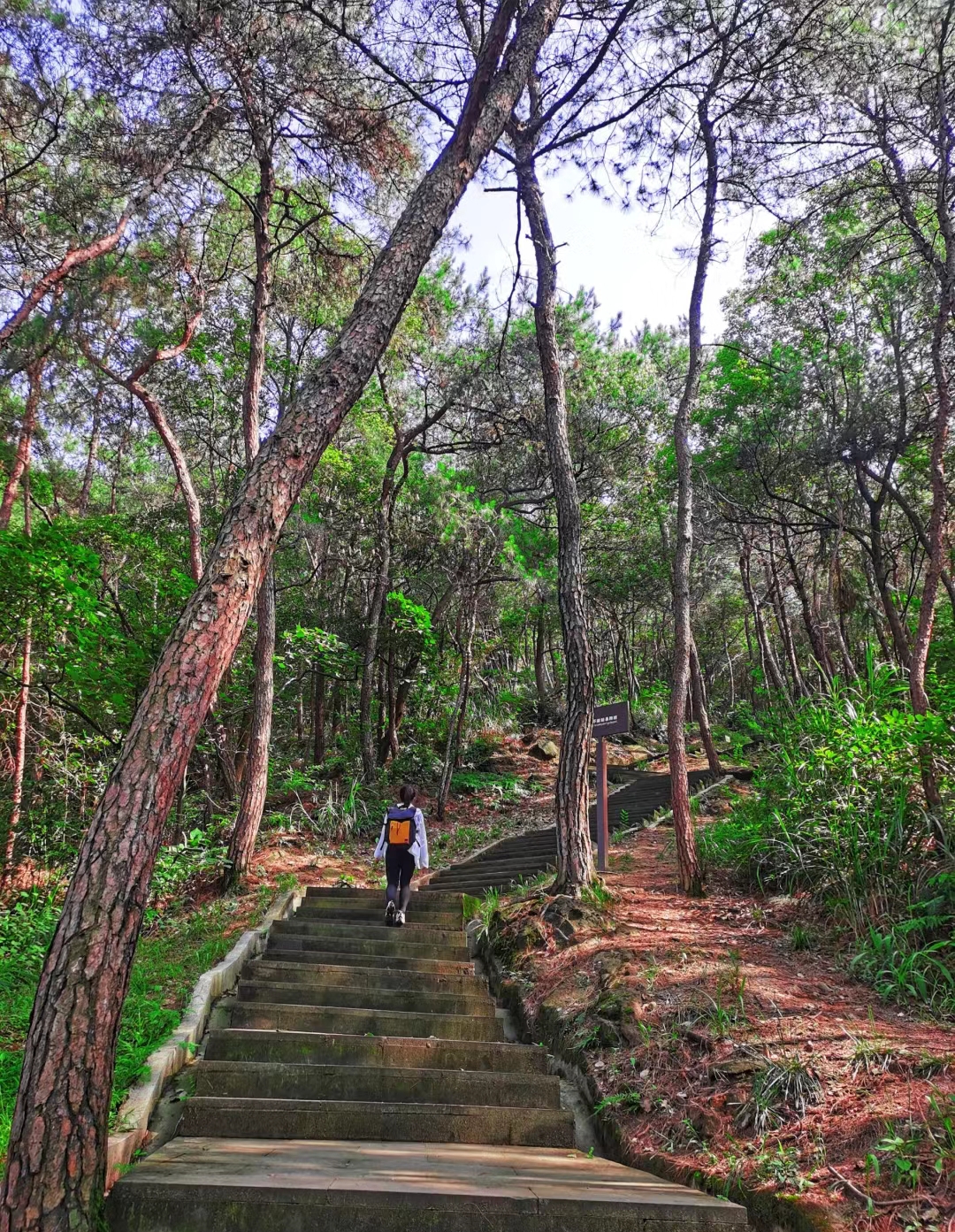 重庆市区登山好去处图片