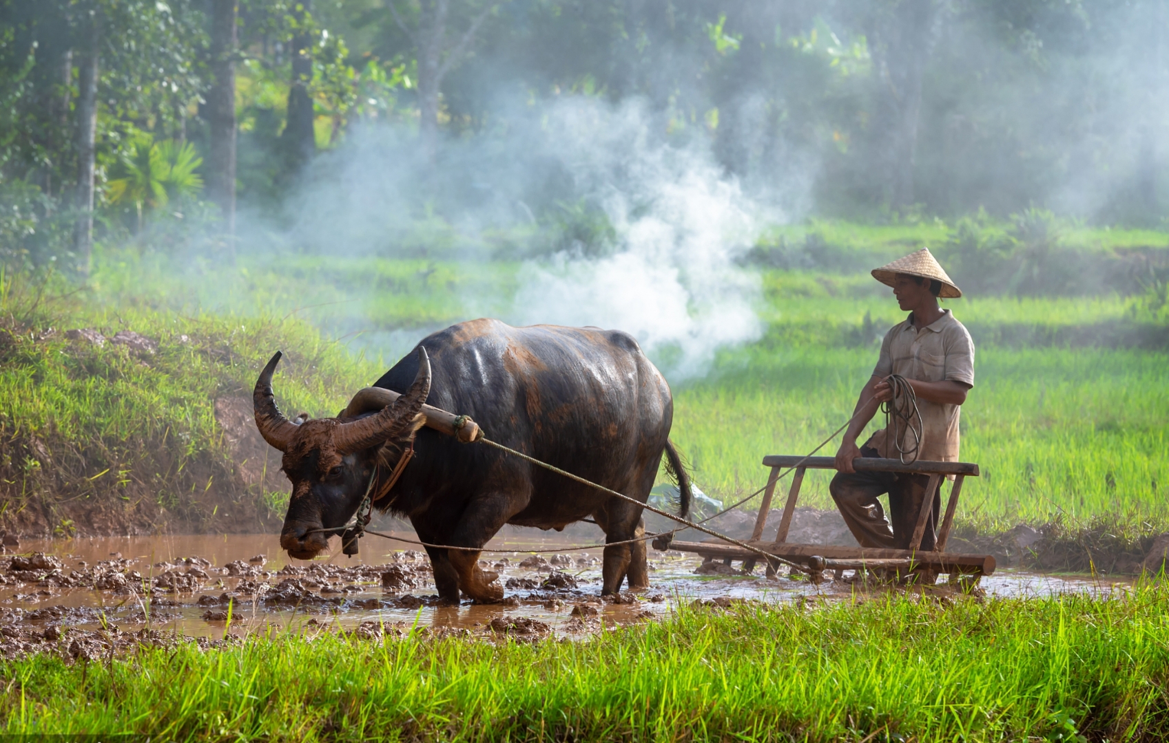 往昔,农户们牵着耕牛,挥着锄头,一步一犁,在土地上刻下岁月的印记