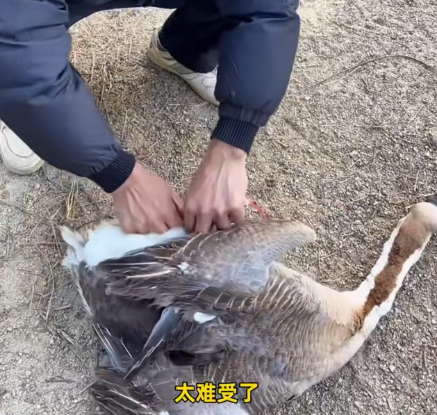 有缘就心意相通,惺惺相惜;无缘就冷漠以待,弱肉强食