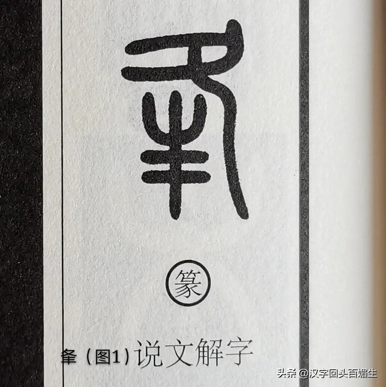 "夆"字读法不一样《汉字故事饕餮日 夆(féng fēng páng)形