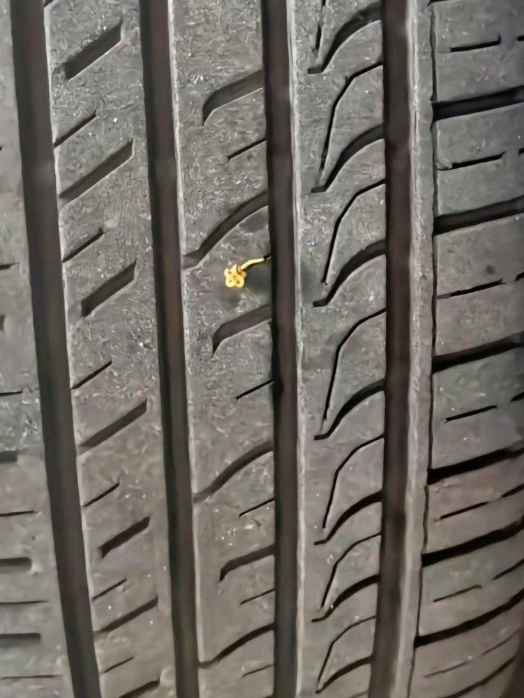 今天出去还好好的到家就发现这样子了,这我要找失主给还回去吗?