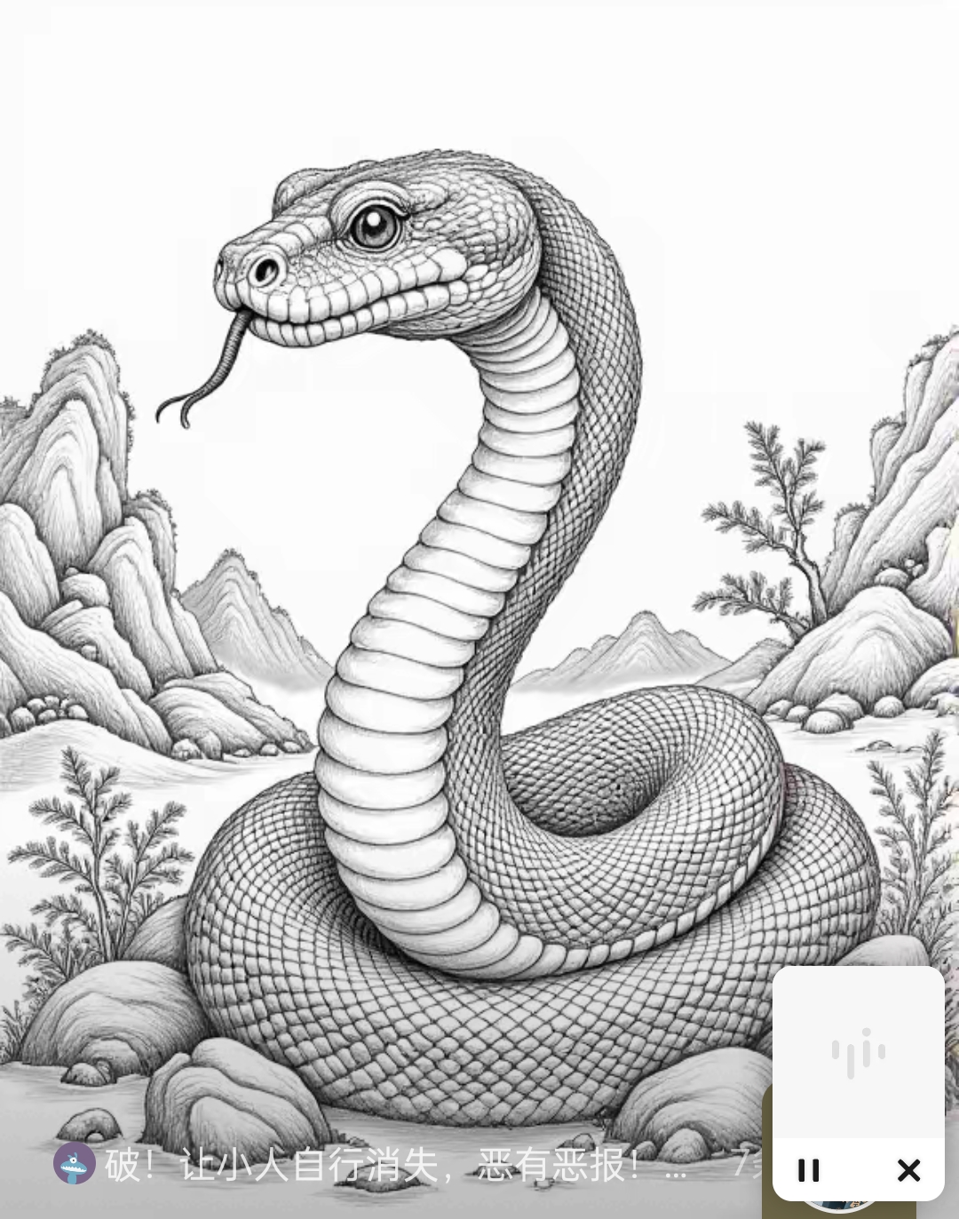 蛇蛇全身形态分析素描图素描画蛇图片