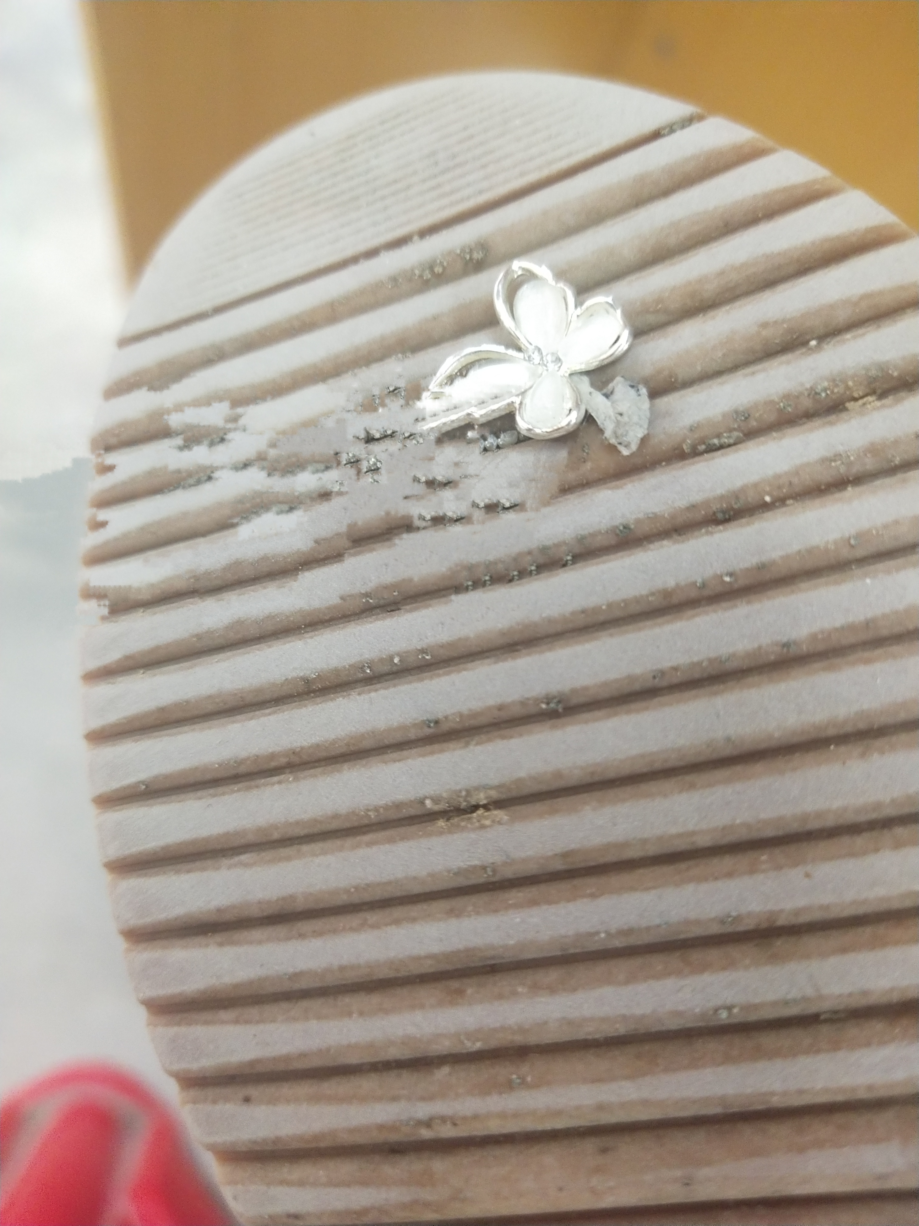 今天走路时有意外的"收获",这个小"蝴蝶"竟看上了我的鞋子,紧紧地贴着